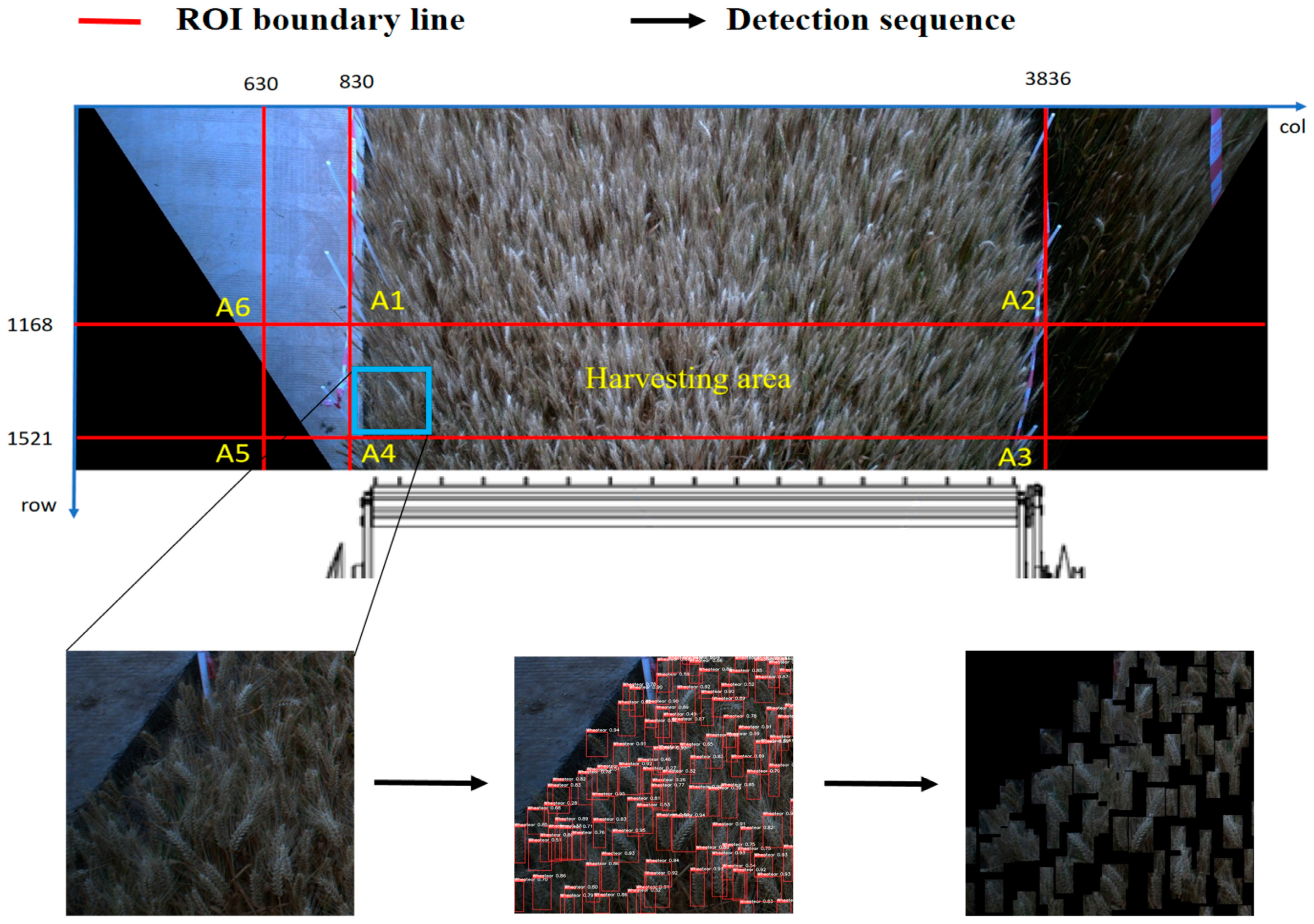 Agriculture 14 01251 g013