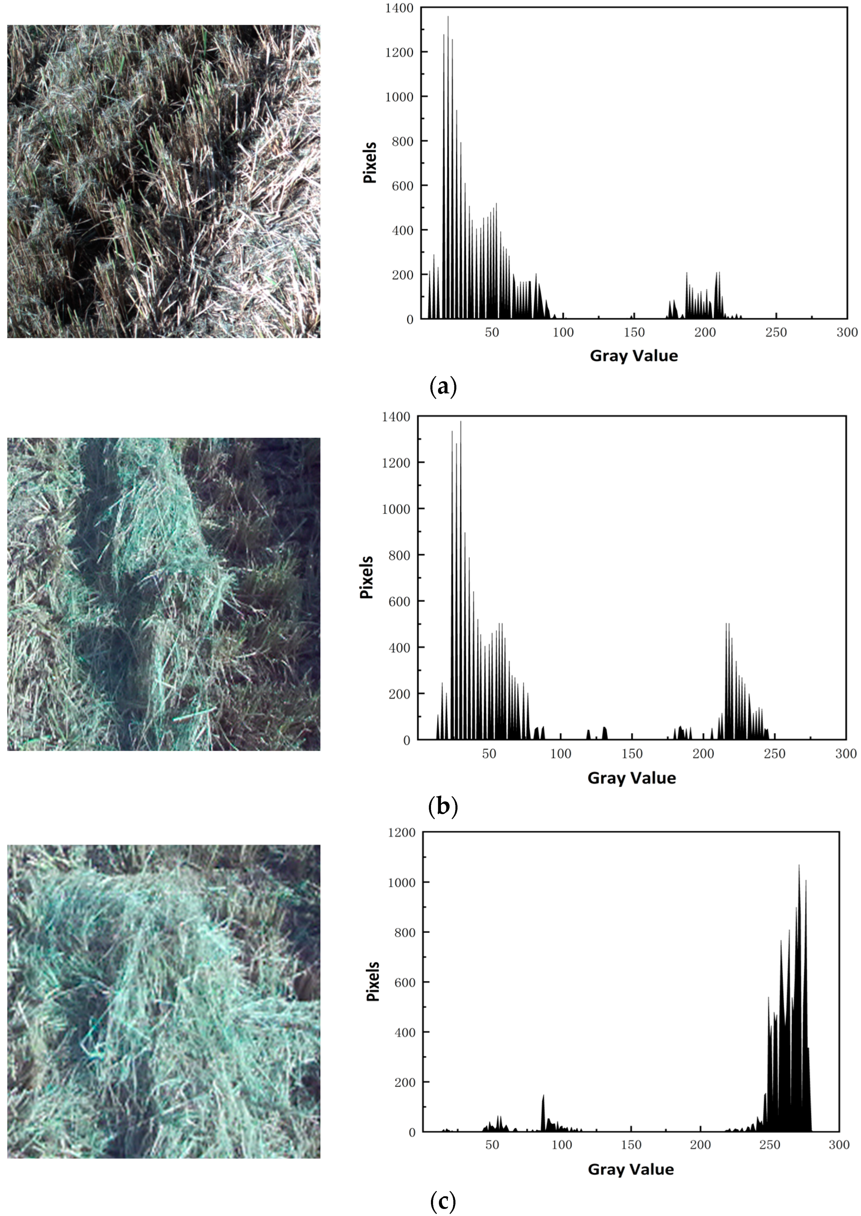 Agriculture 14 01251 g018