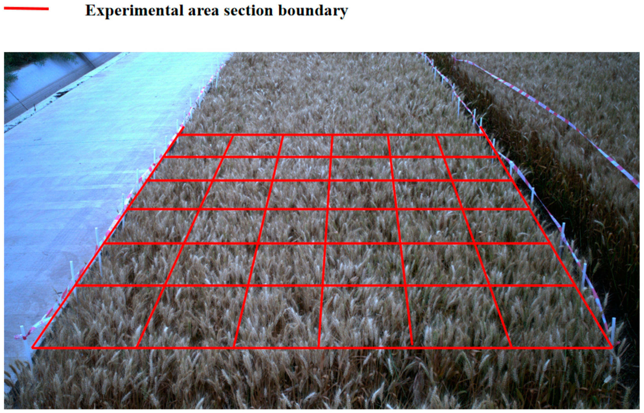 Agriculture 14 01251 g019