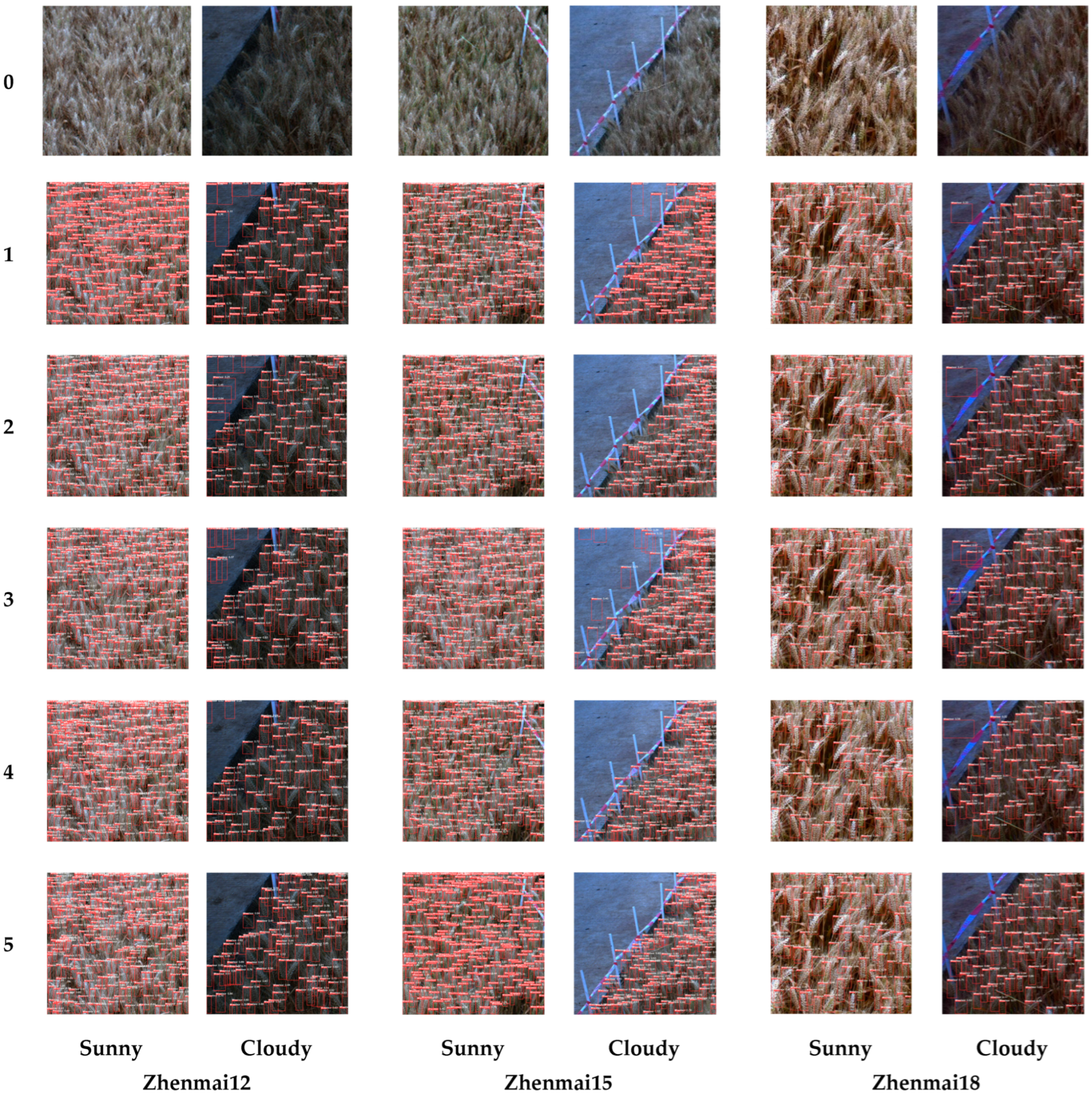 Agriculture 14 01251 g021