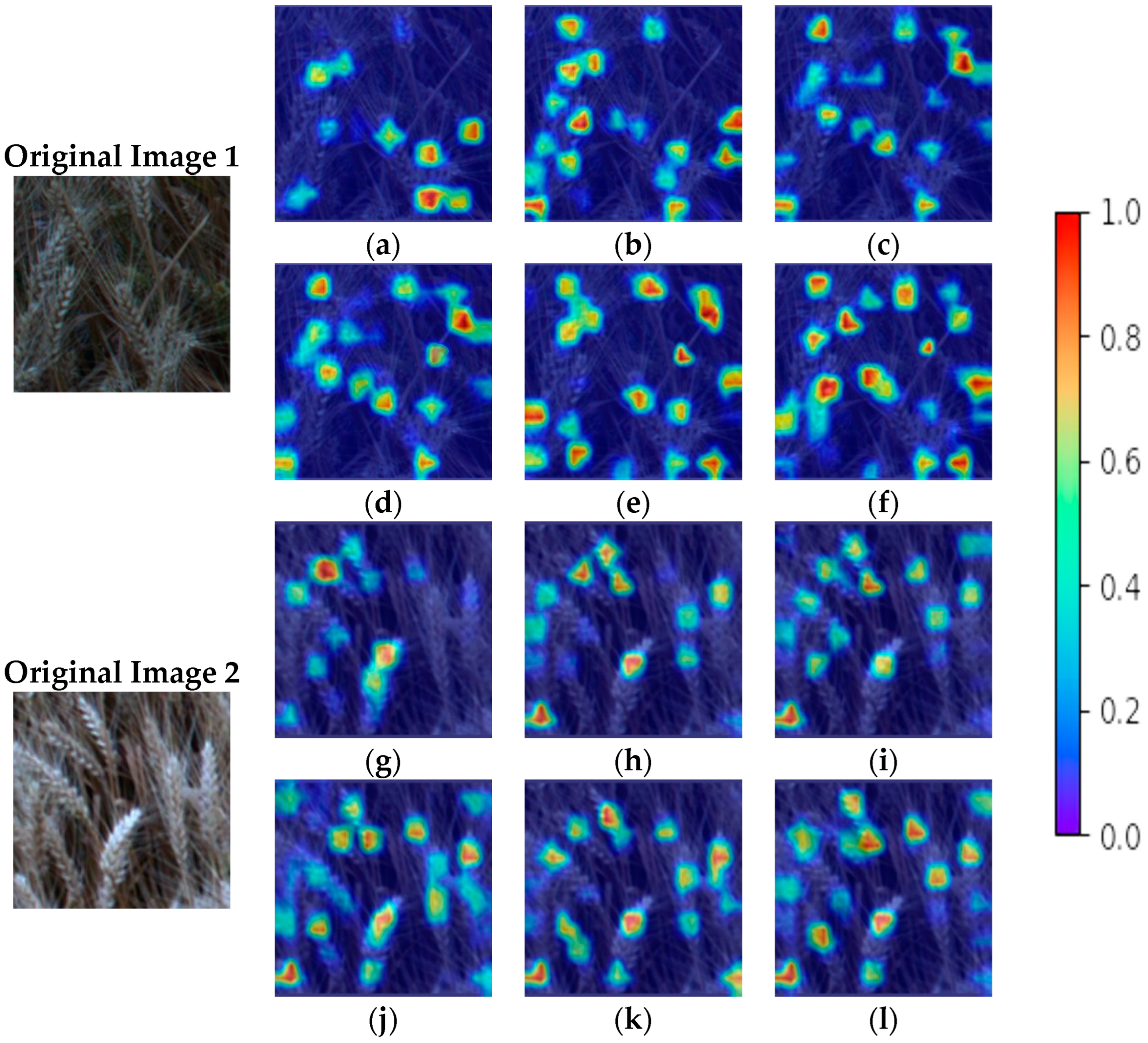 Agriculture 14 01251 g023
