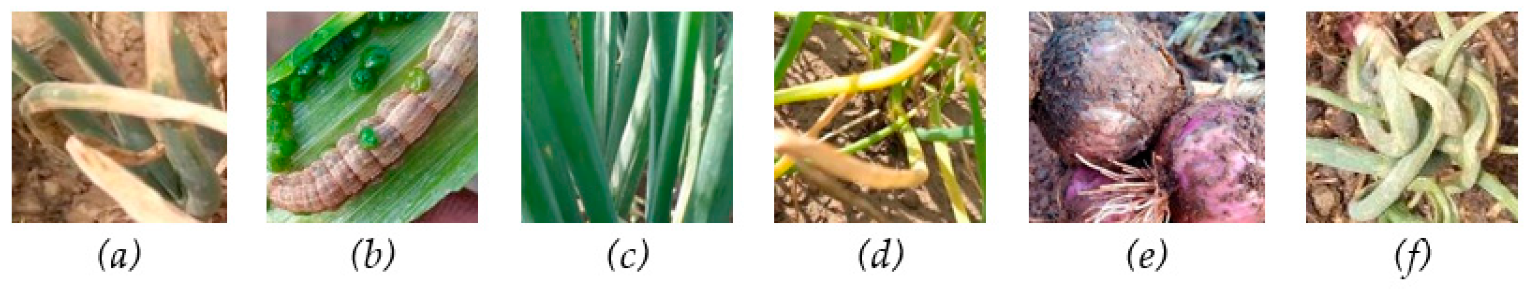 Agriculture 14 01252 g003