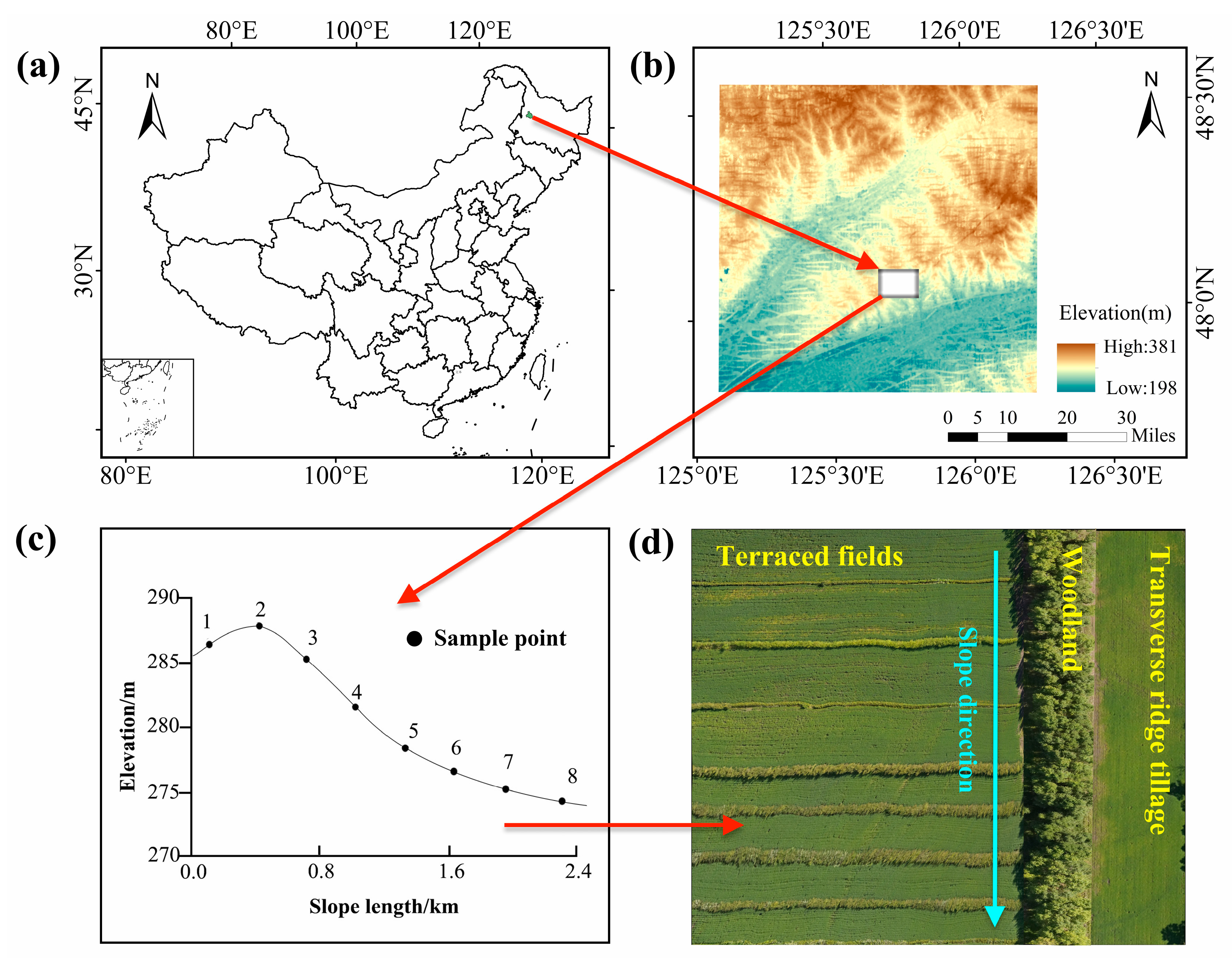 Agriculture 14 01261 g001