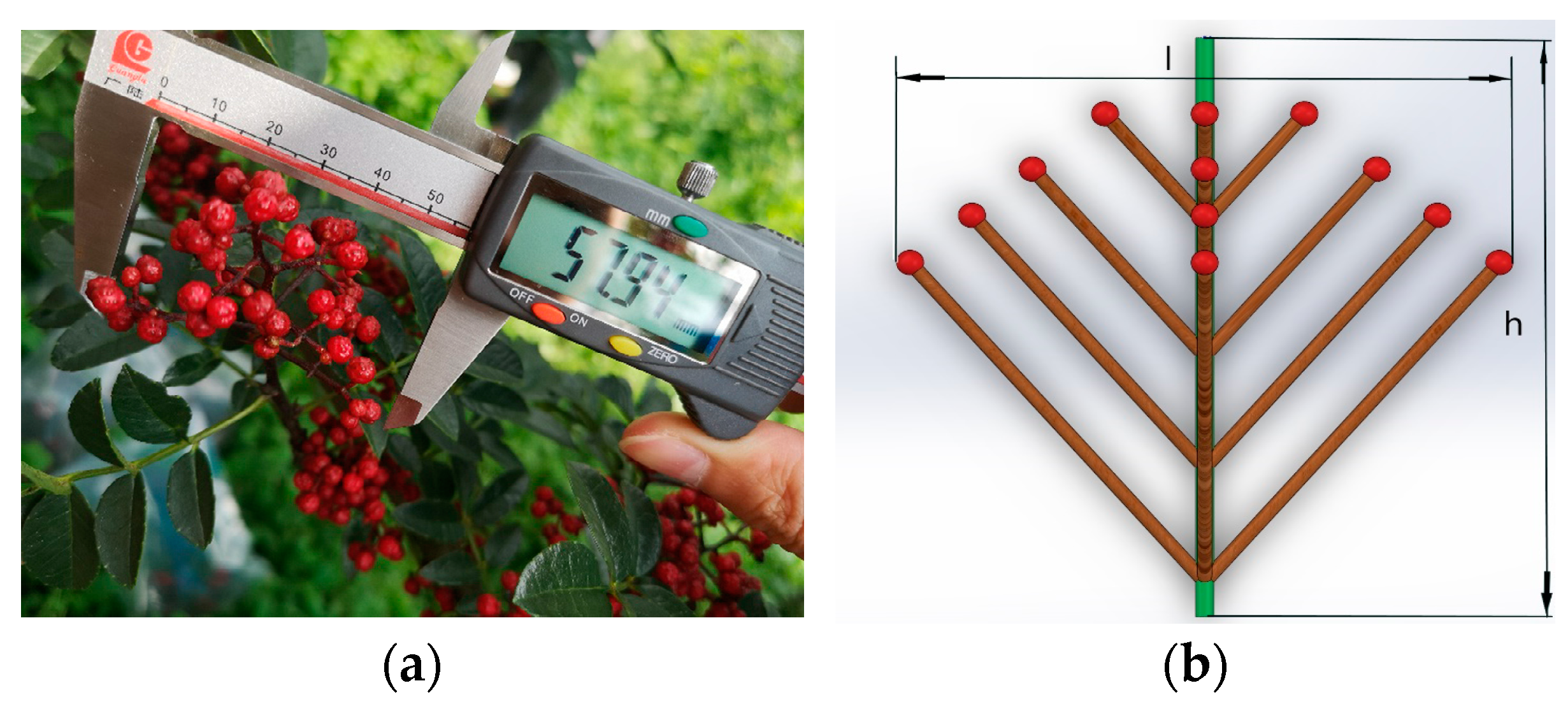 Agriculture 14 01276 g002