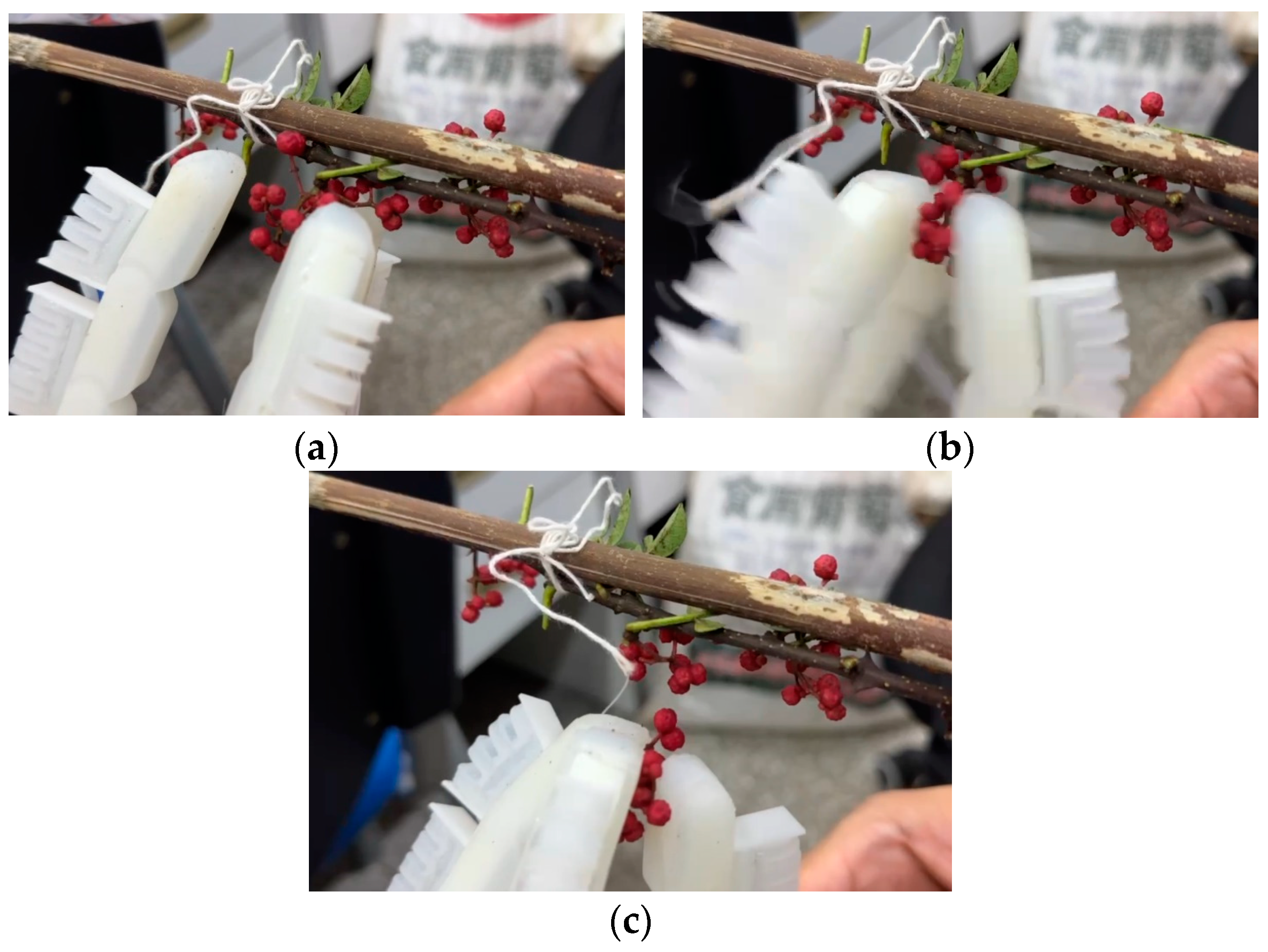 Agriculture 14 01276 g017