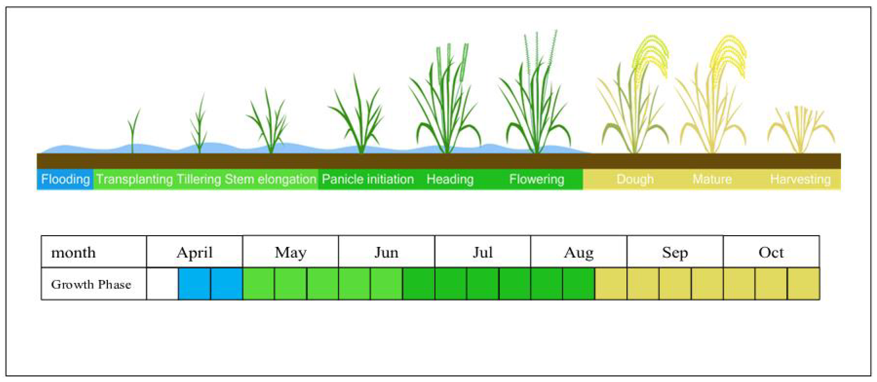 Agriculture 14 01282 g005