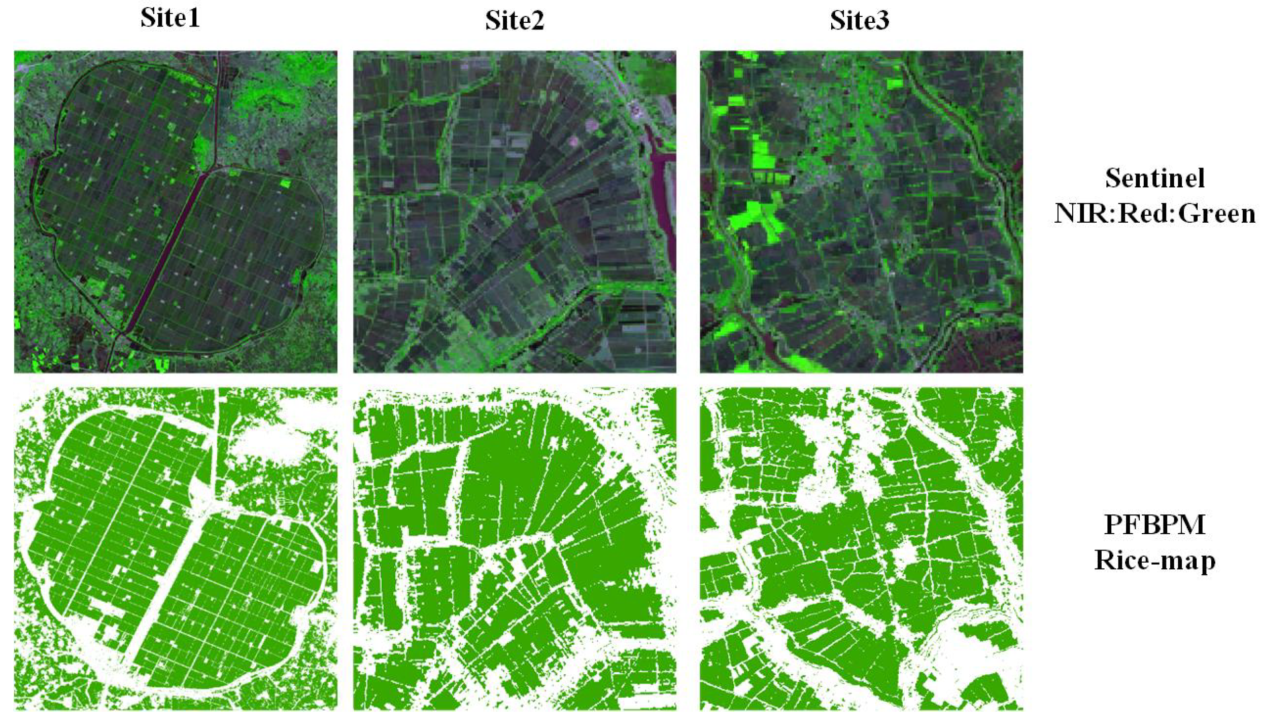 Agriculture 14 01282 g009