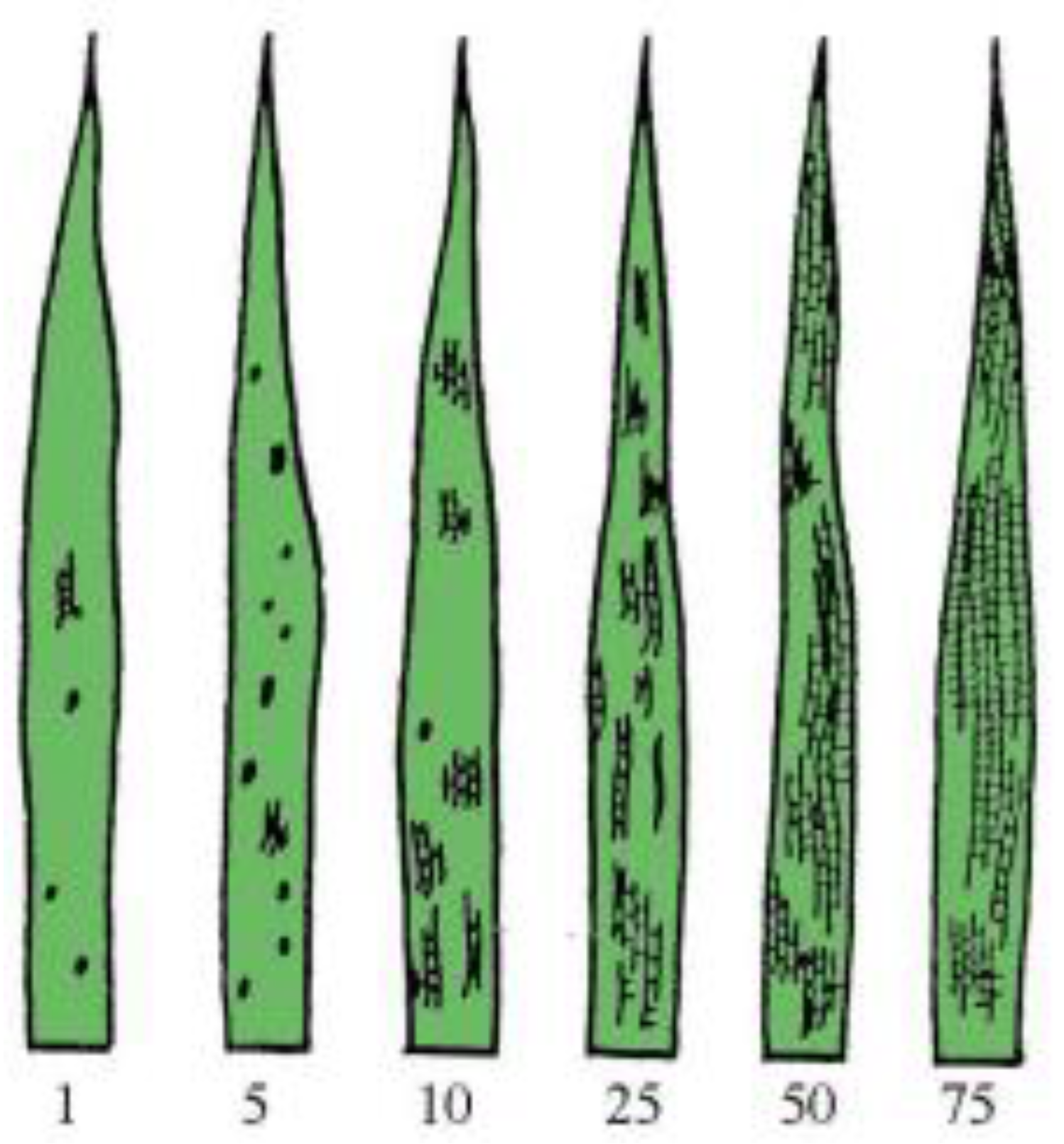 Agriculture 14 01284 g002