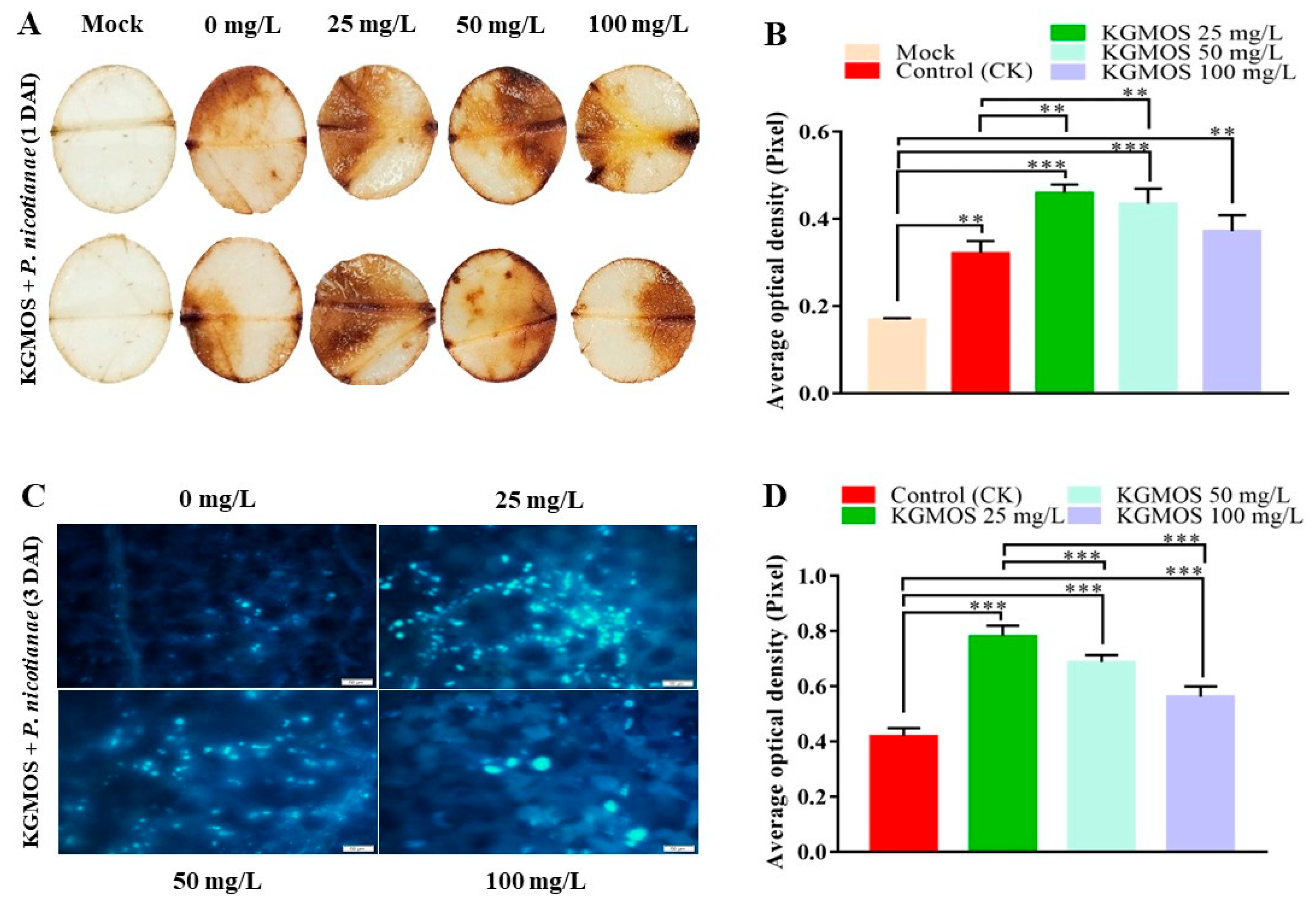 Agriculture 14 01289 g002