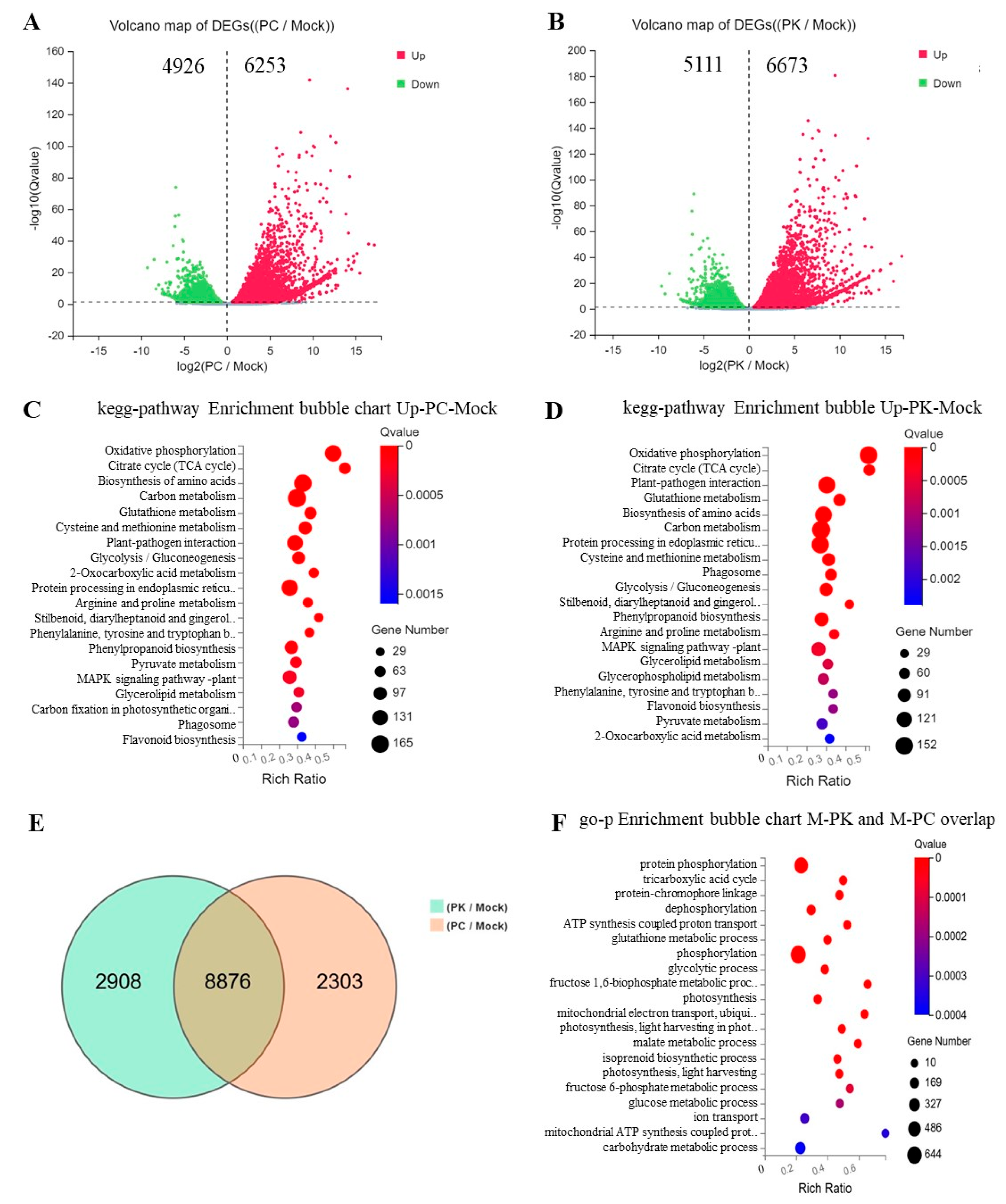 Agriculture 14 01289 g003