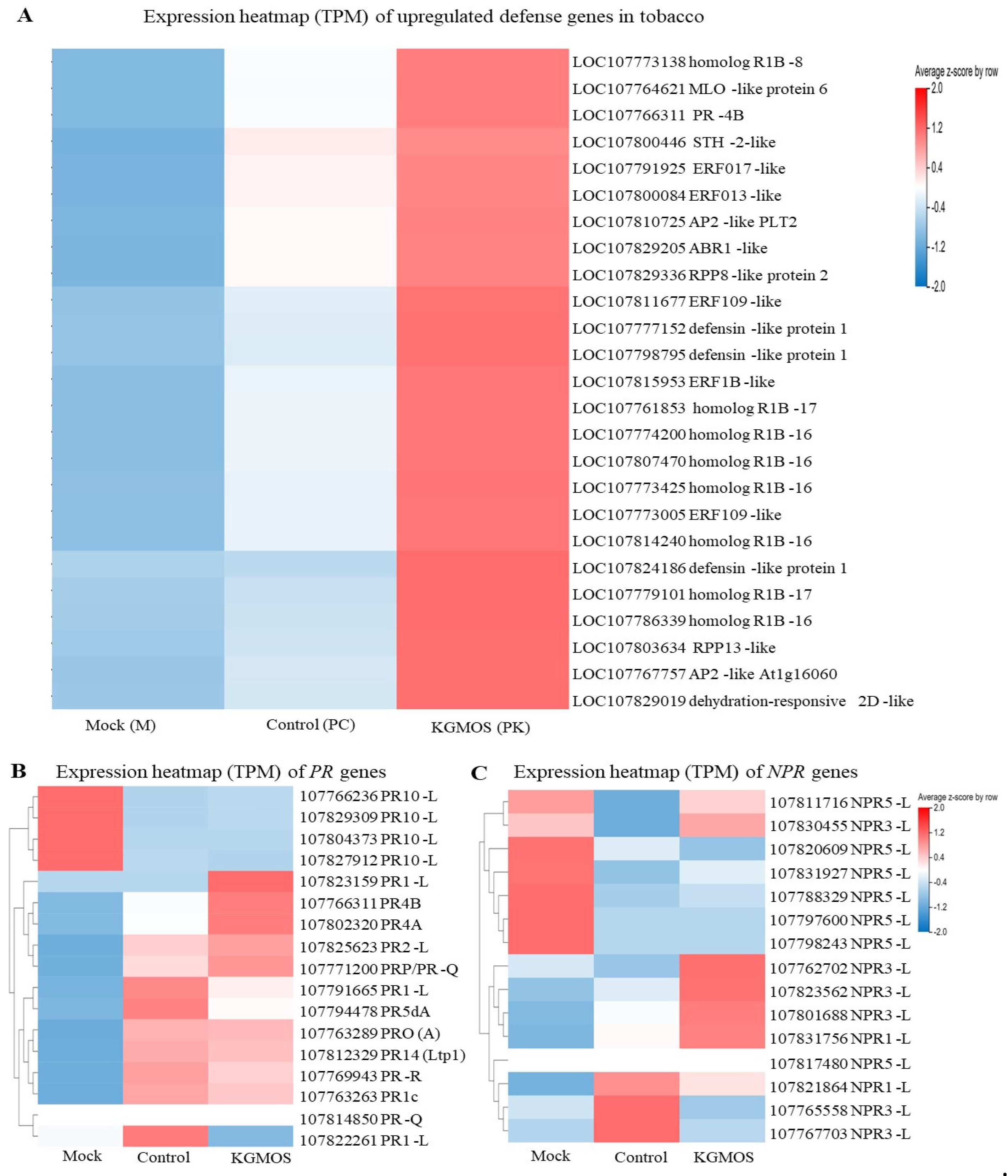 Agriculture 14 01289 g005