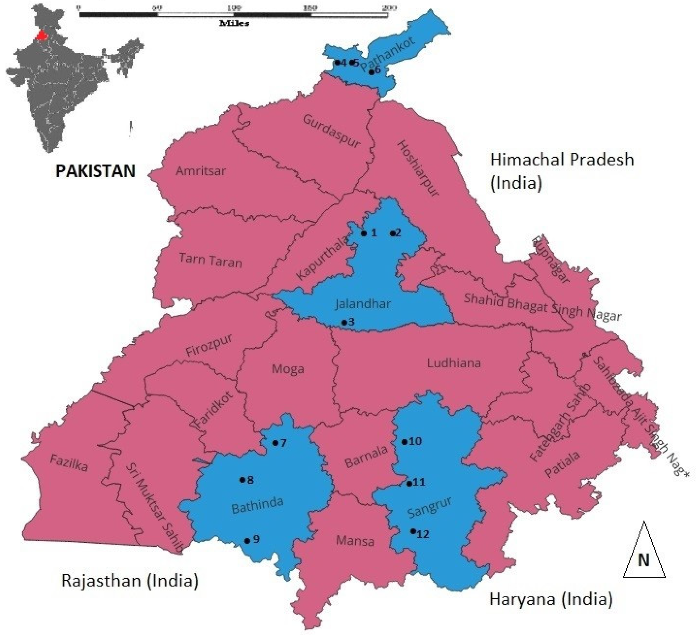 Agriculture 14 01299 g001