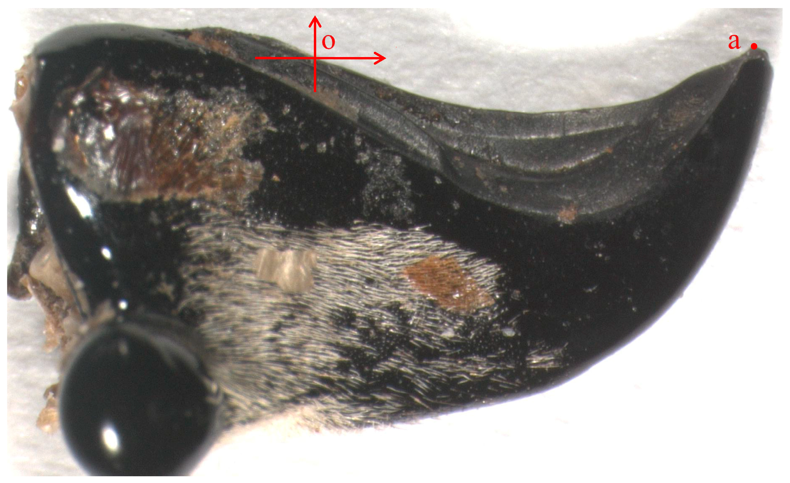 Agriculture 14 01302 g002