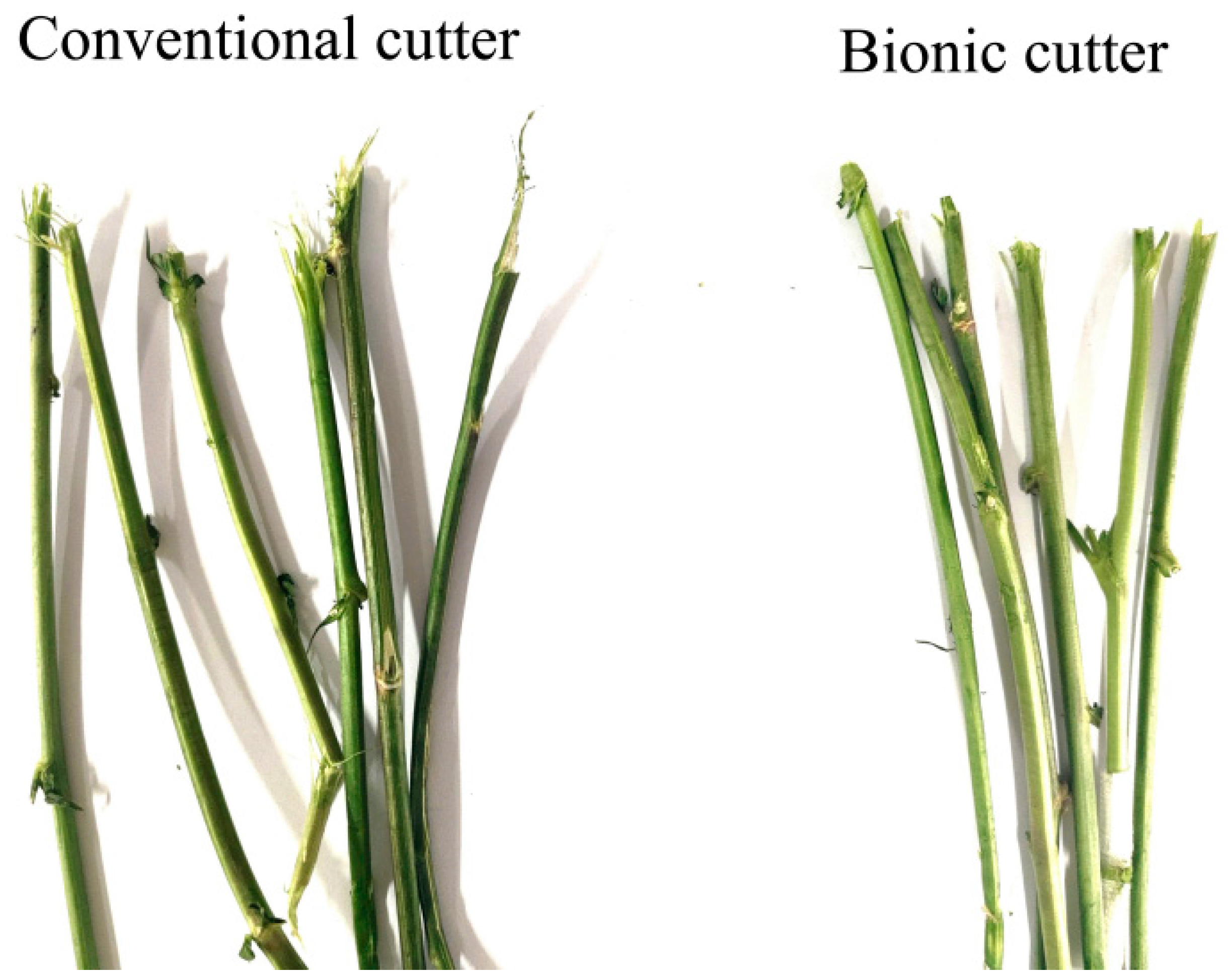 Agriculture 14 01302 g014