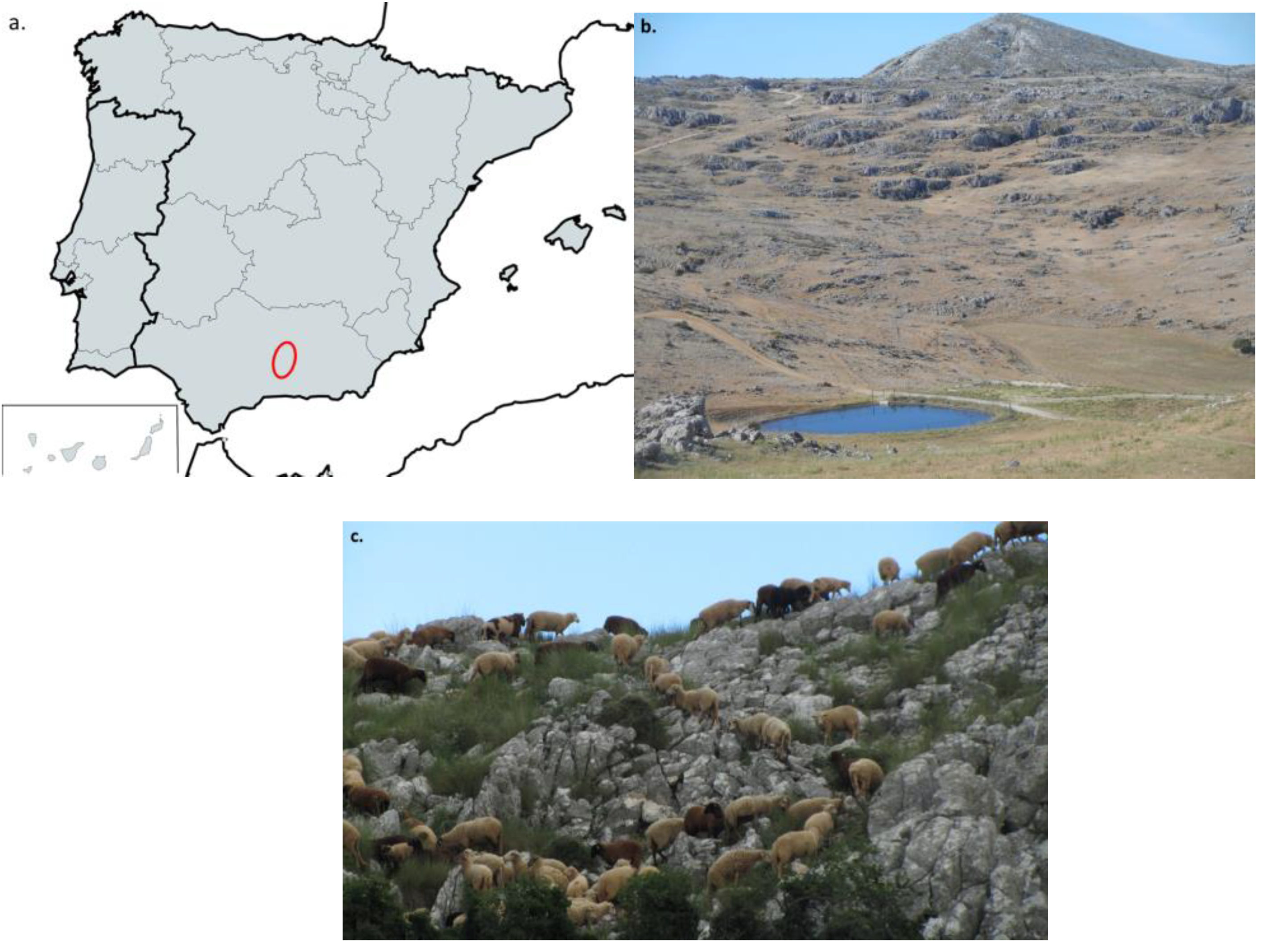 Agriculture 14 01304 g001