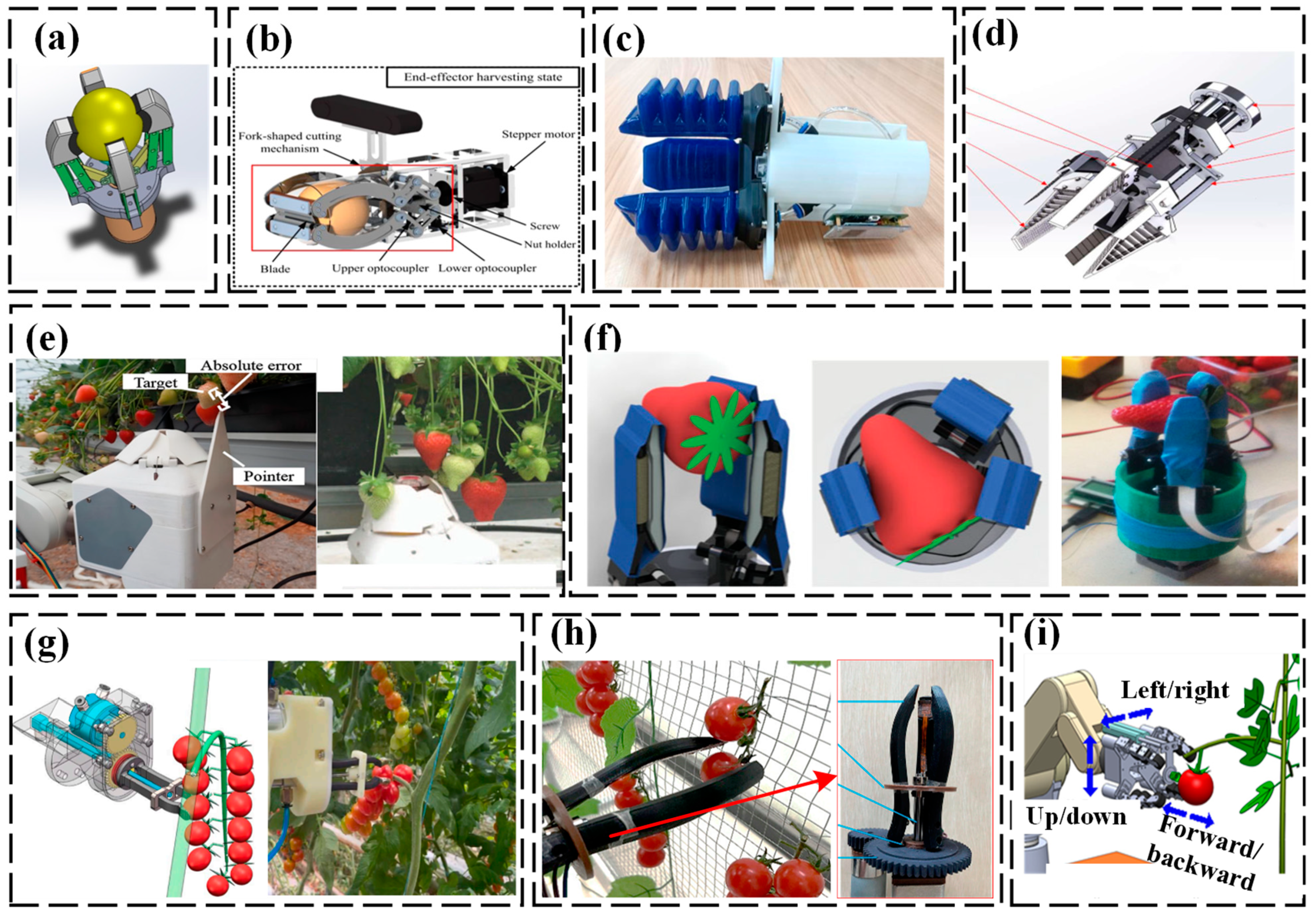 Agriculture 14 01310 g006