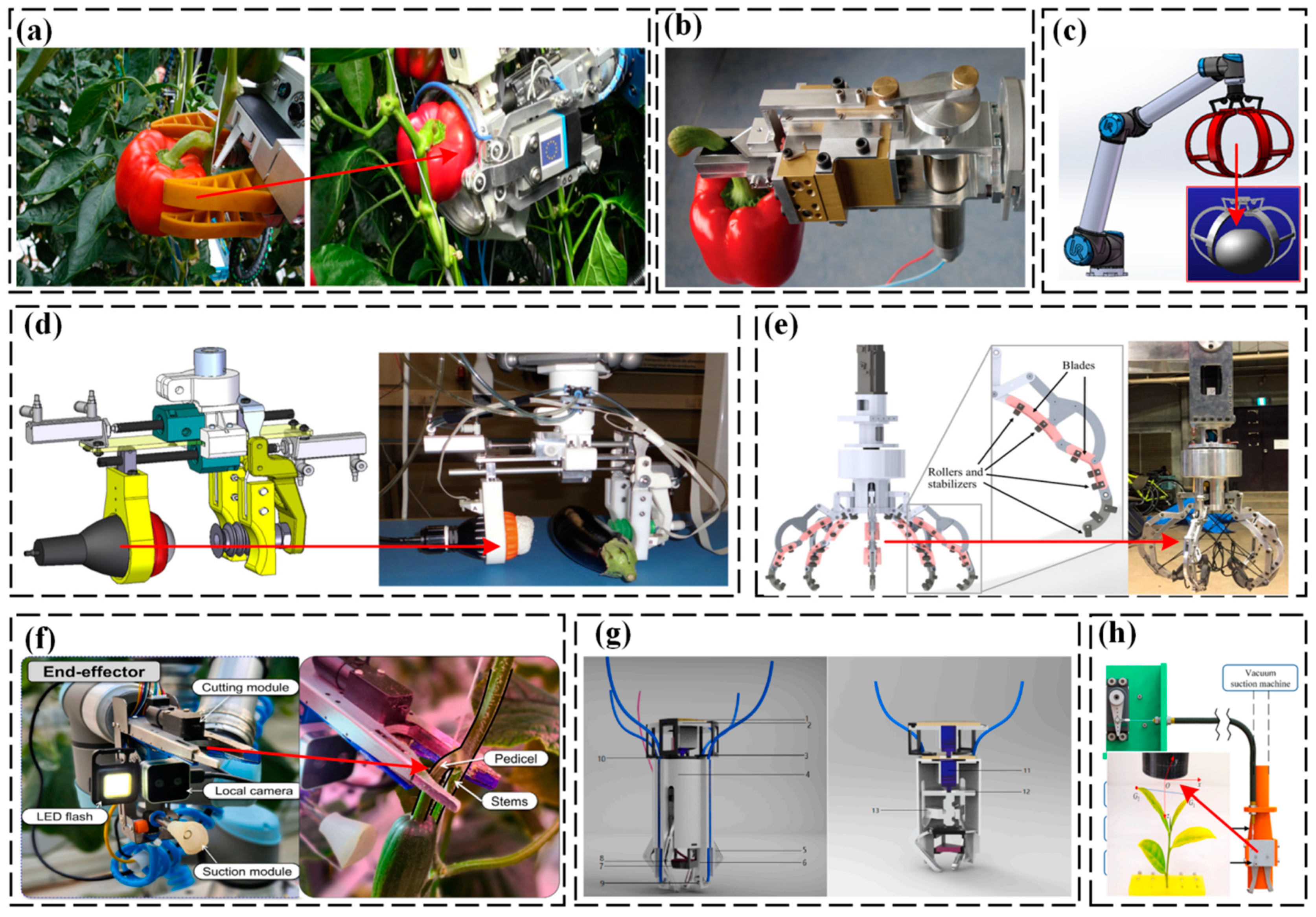 Agriculture 14 01310 g007