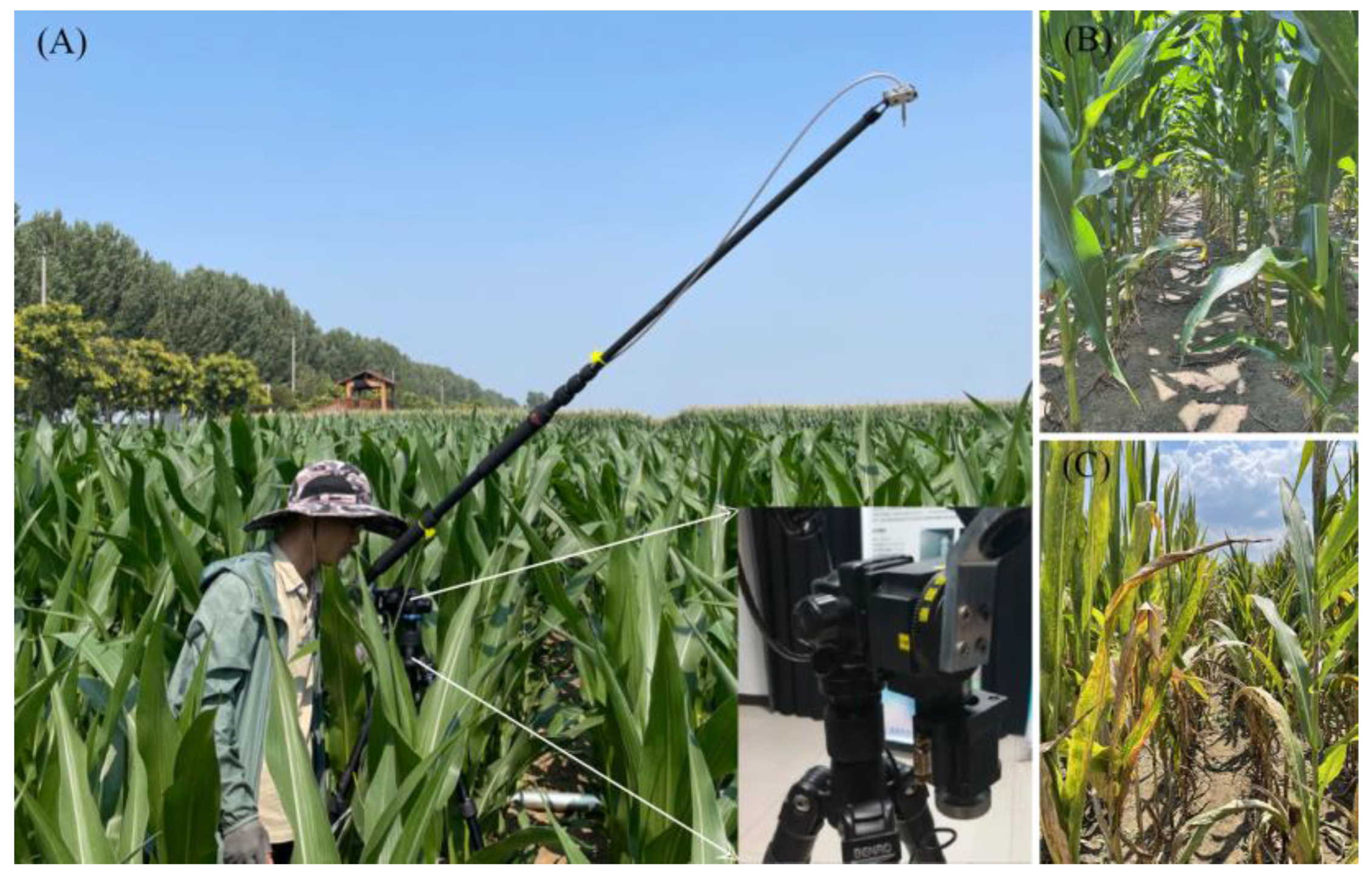 Agriculture 14 01311 g002