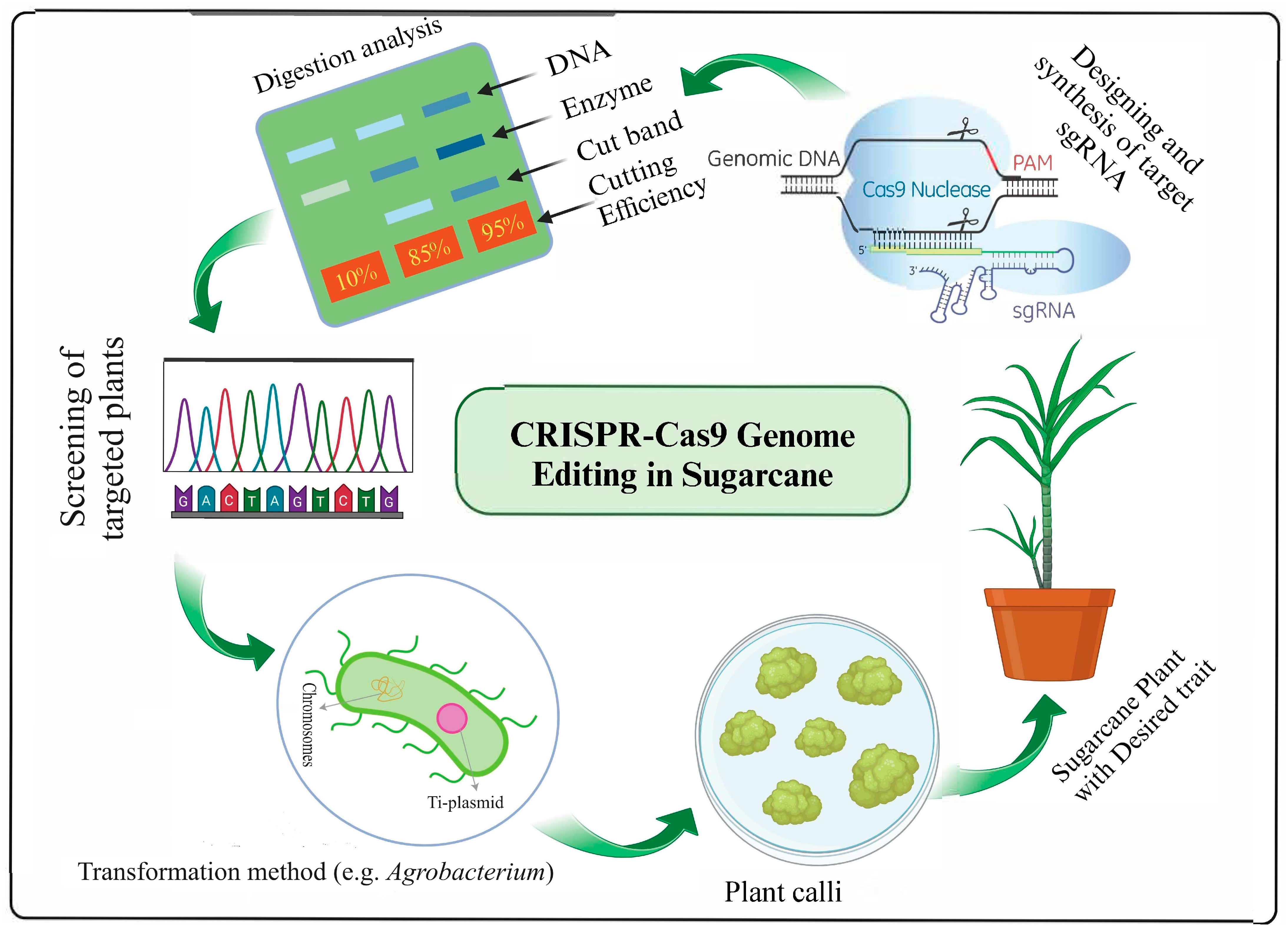 Agriculture 14 01312 g002