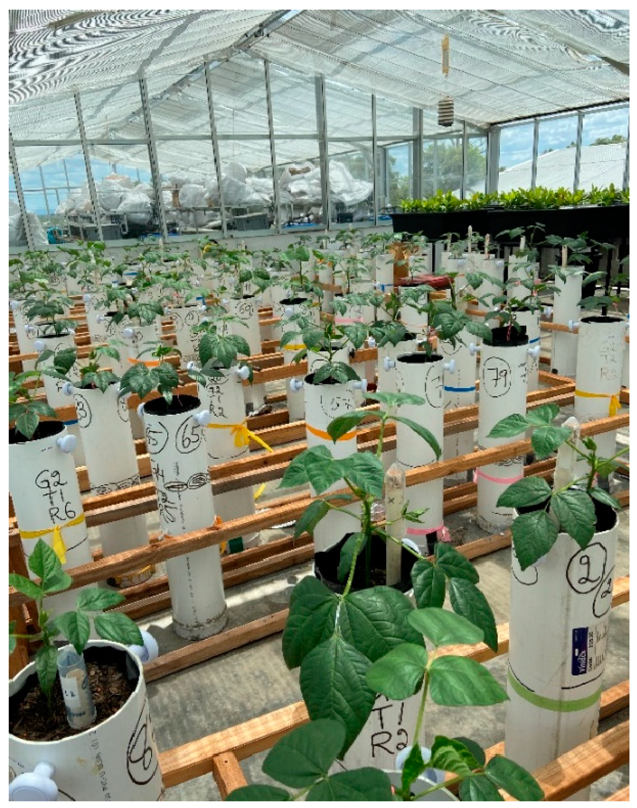 Agriculture 14 01328 g001