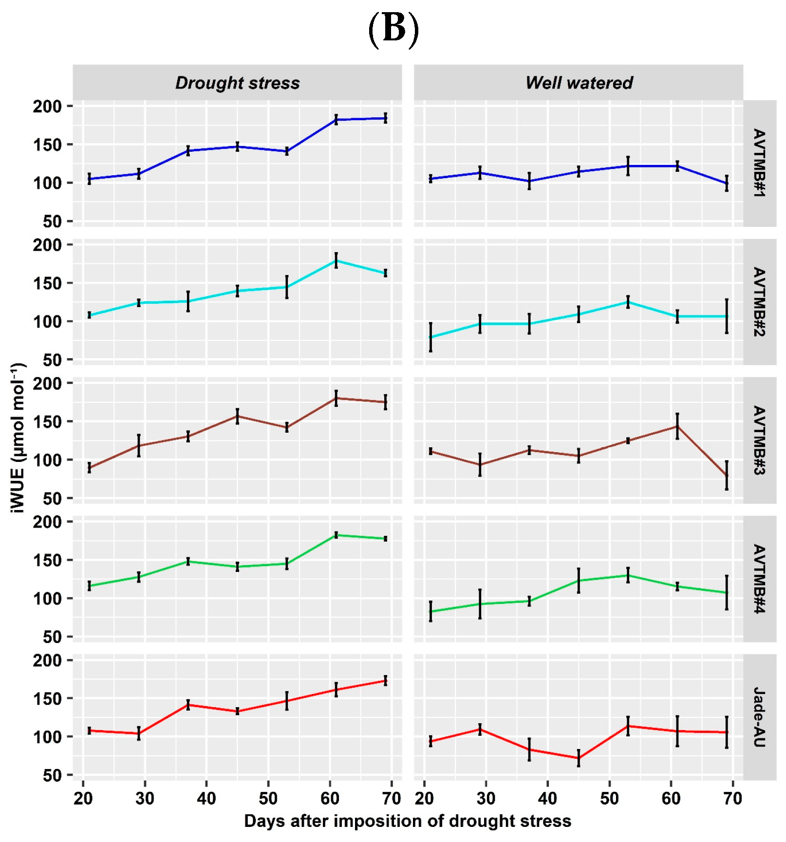 Agriculture 14 01328 g005b