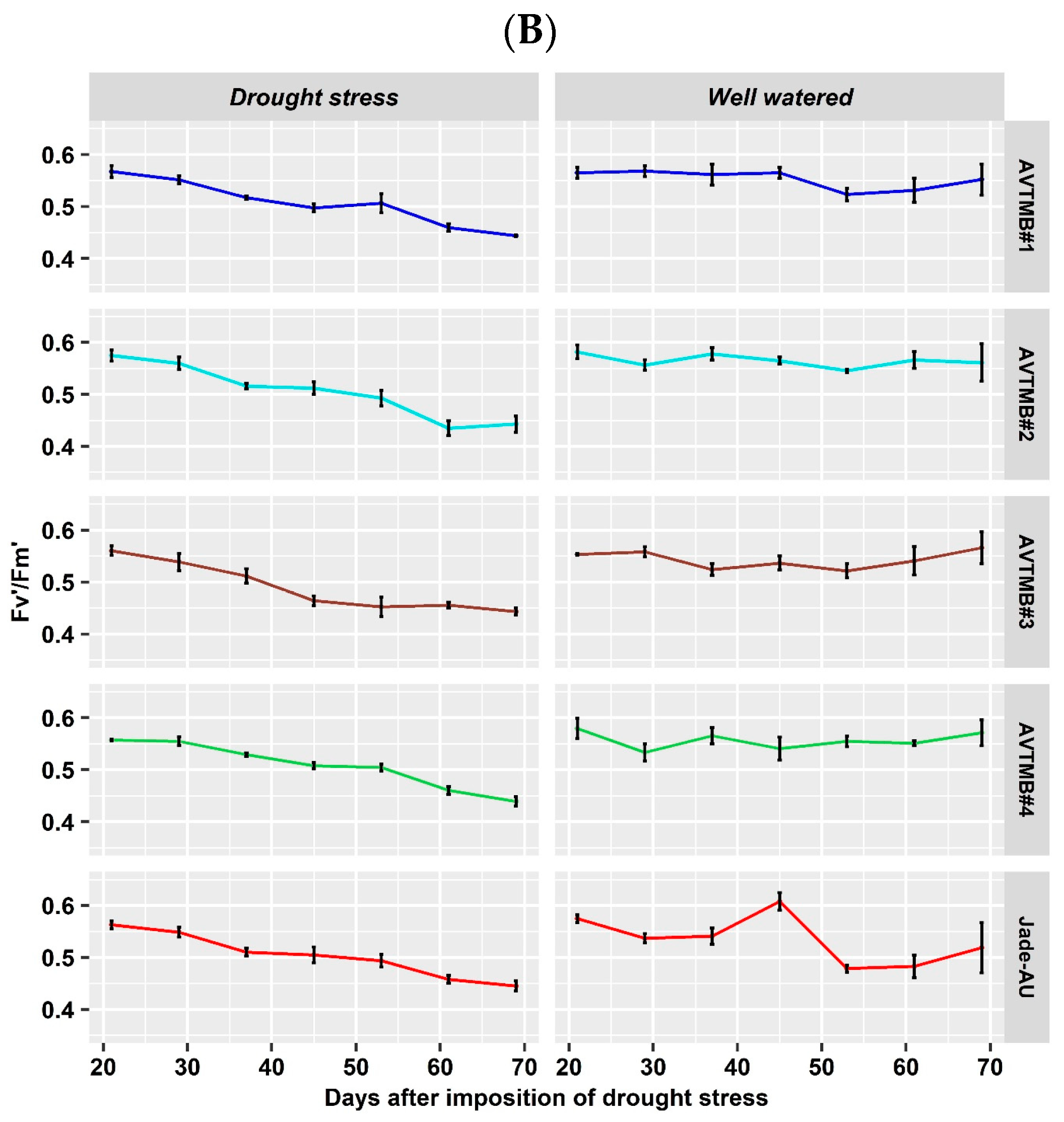 Agriculture 14 01328 g006b