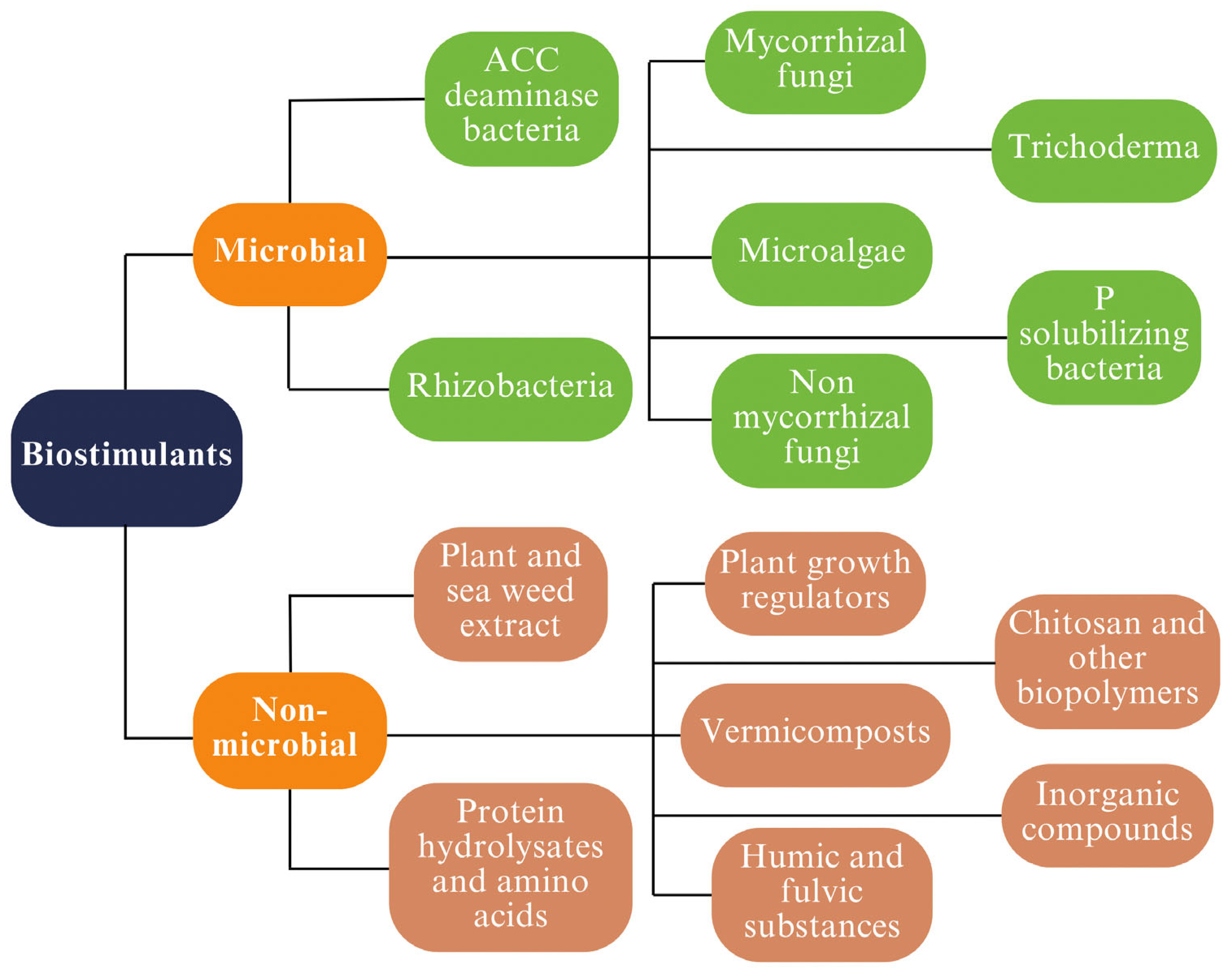 Agriculture 14 01330 g001 Agriculture 14 01330 g001