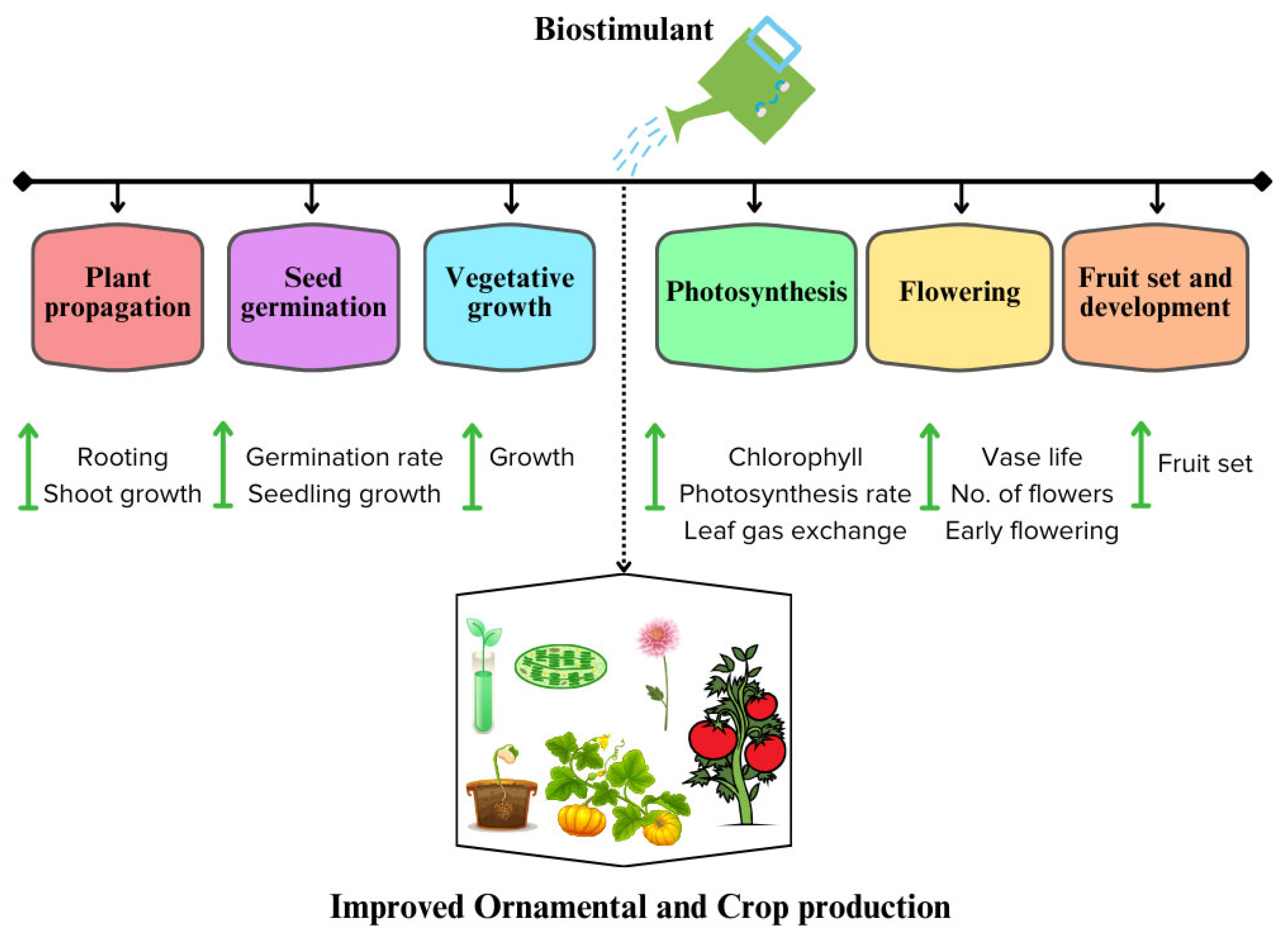 Agriculture 14 01330 g004 Agriculture 14 01330 g004