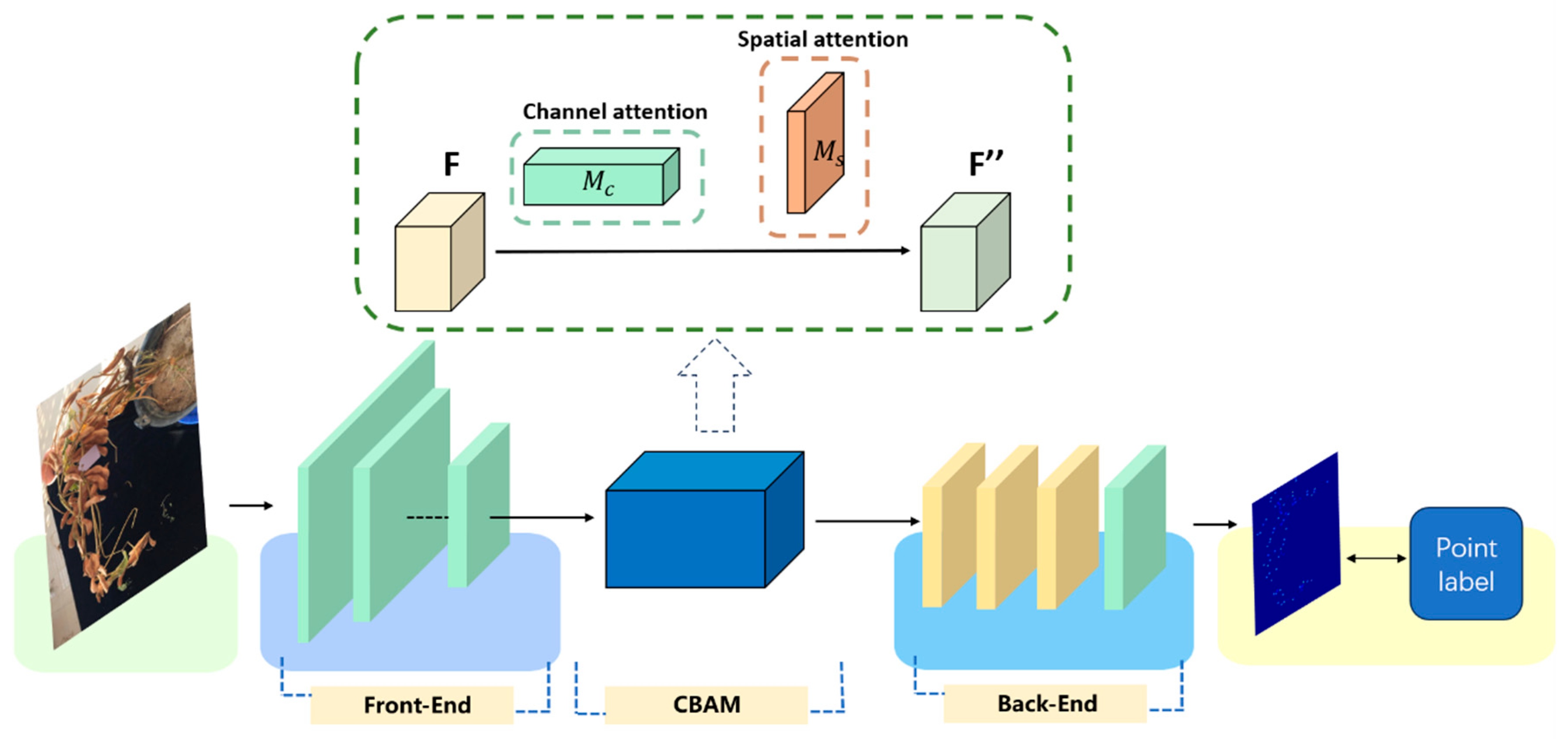Agriculture 14 01347 g005