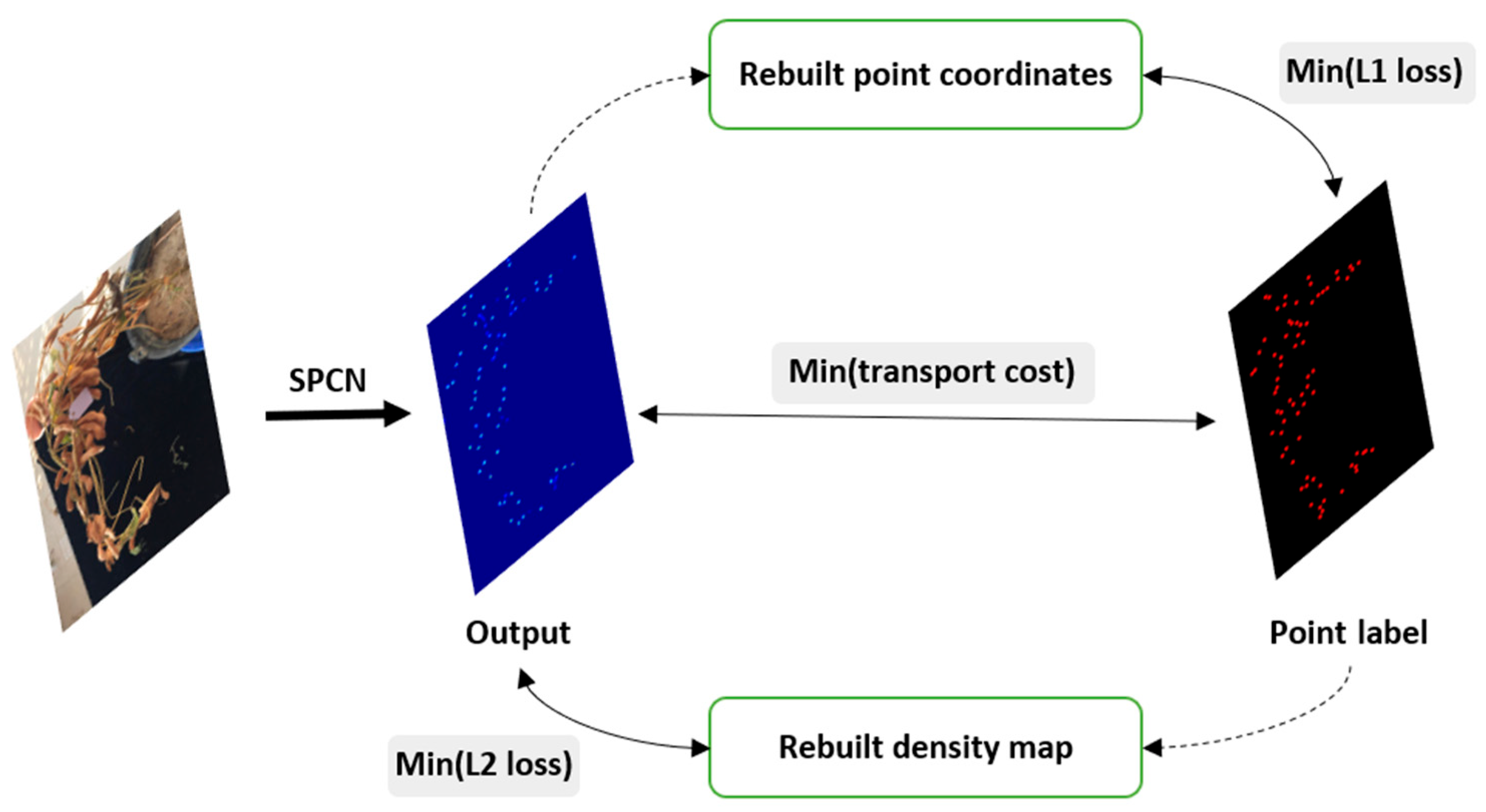 Agriculture 14 01347 g009