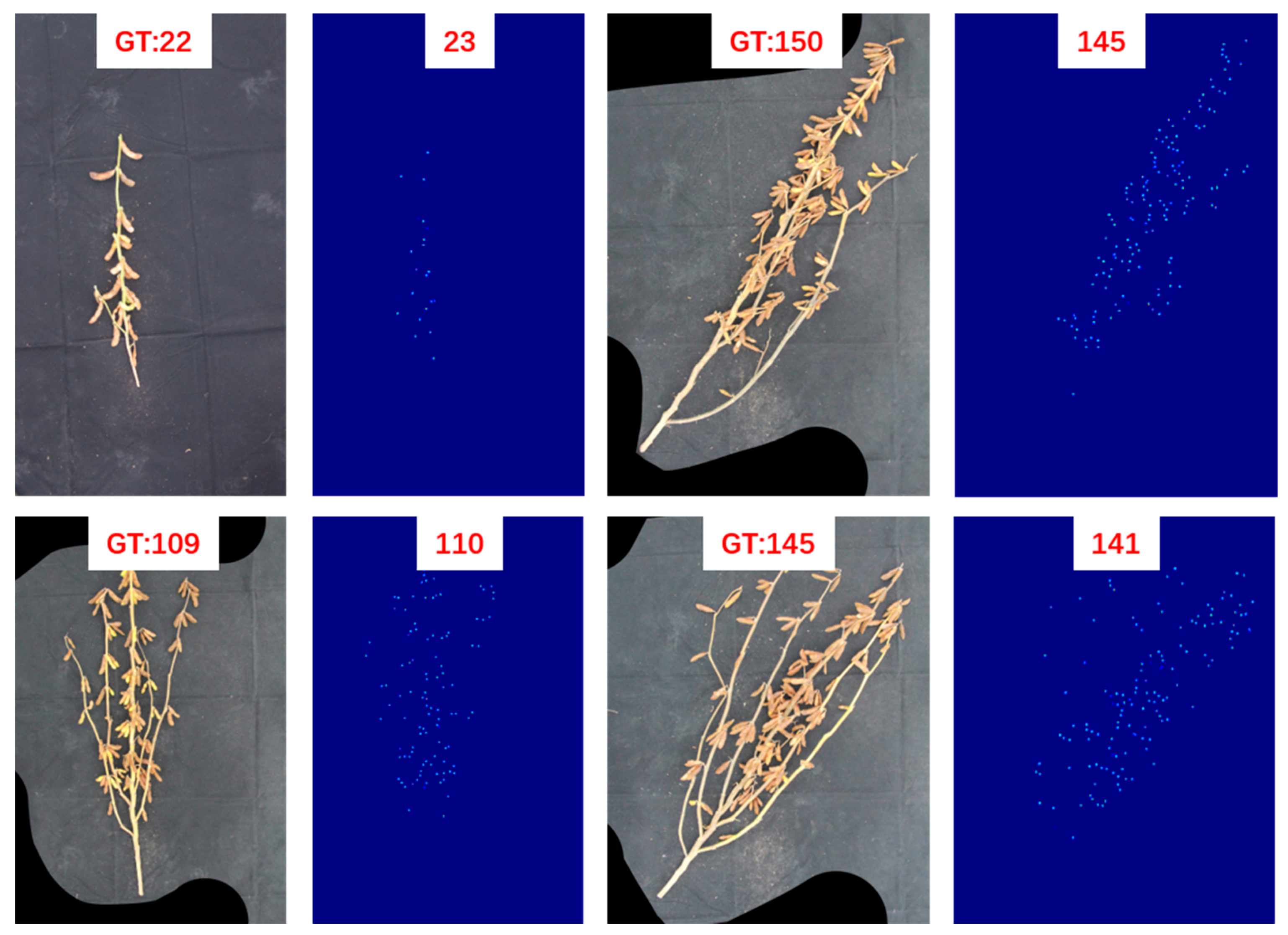 Agriculture 14 01347 g013