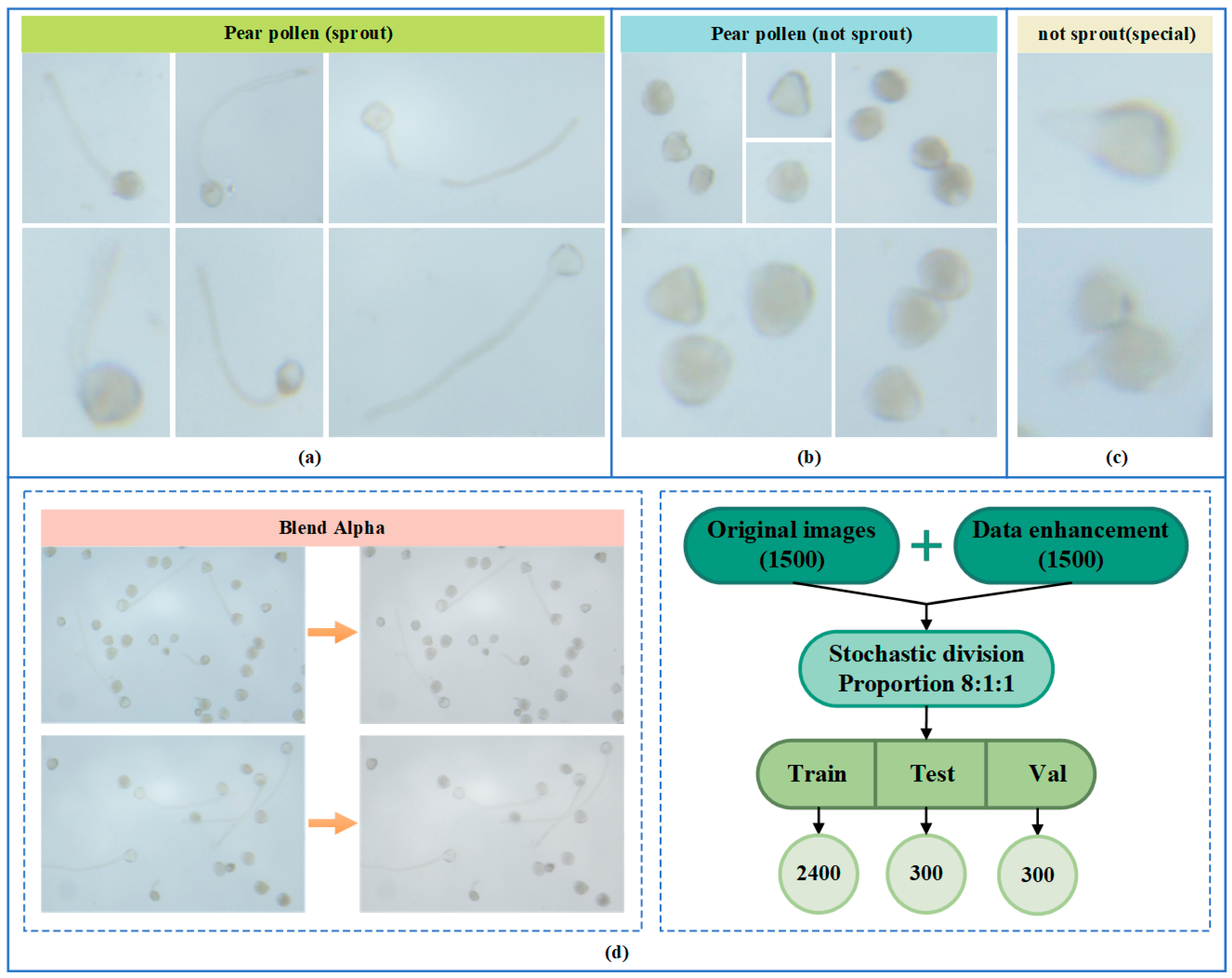 Agriculture 14 01348 g003