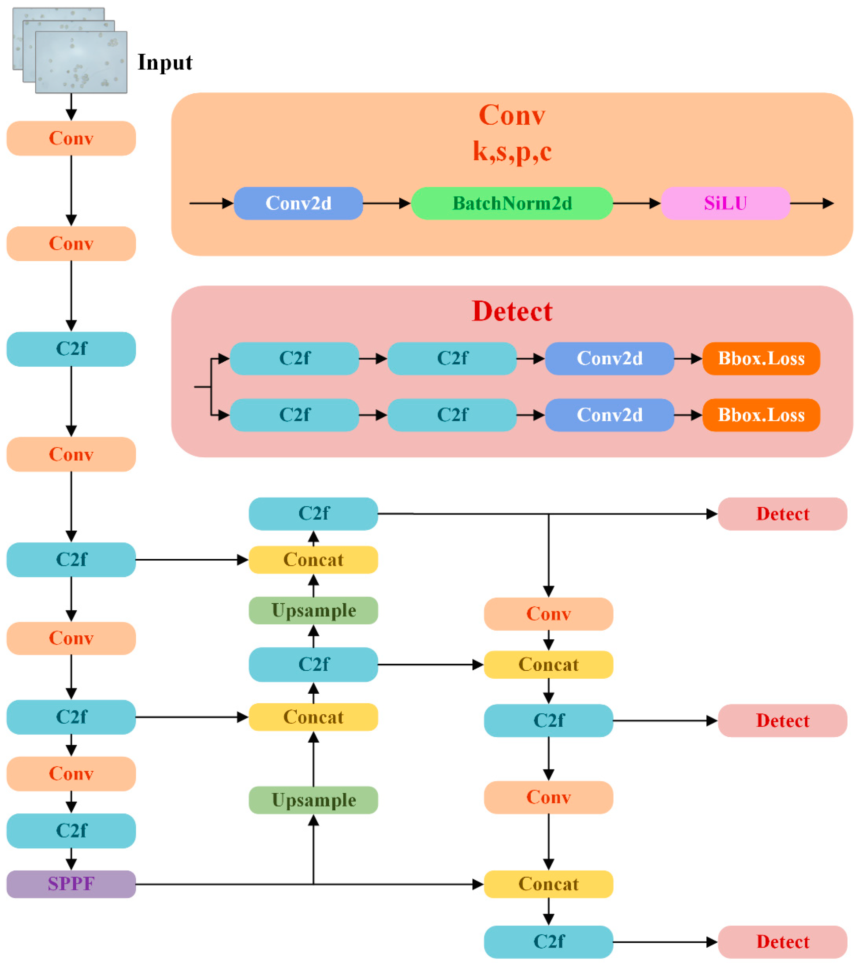 Agriculture 14 01348 g004