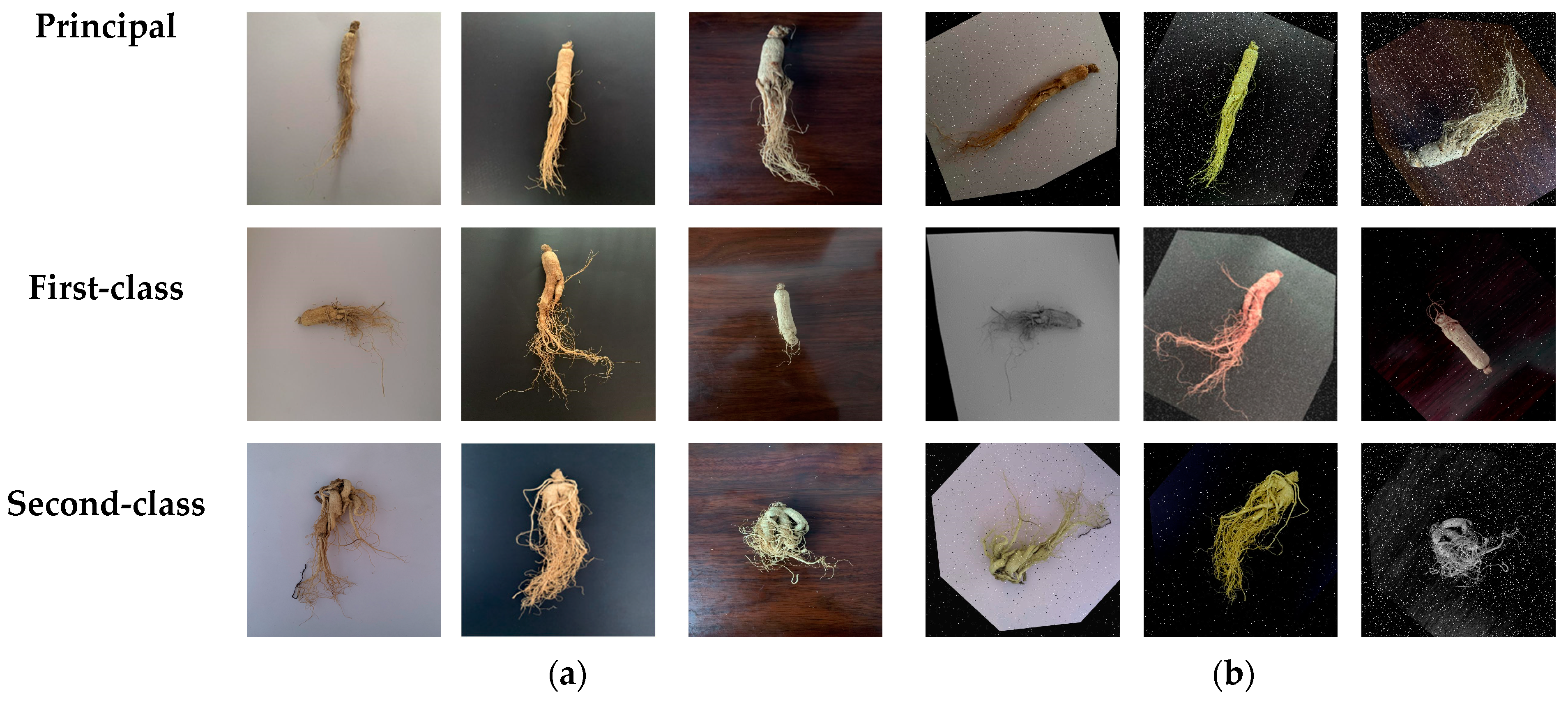 Agriculture 14 01353 g002