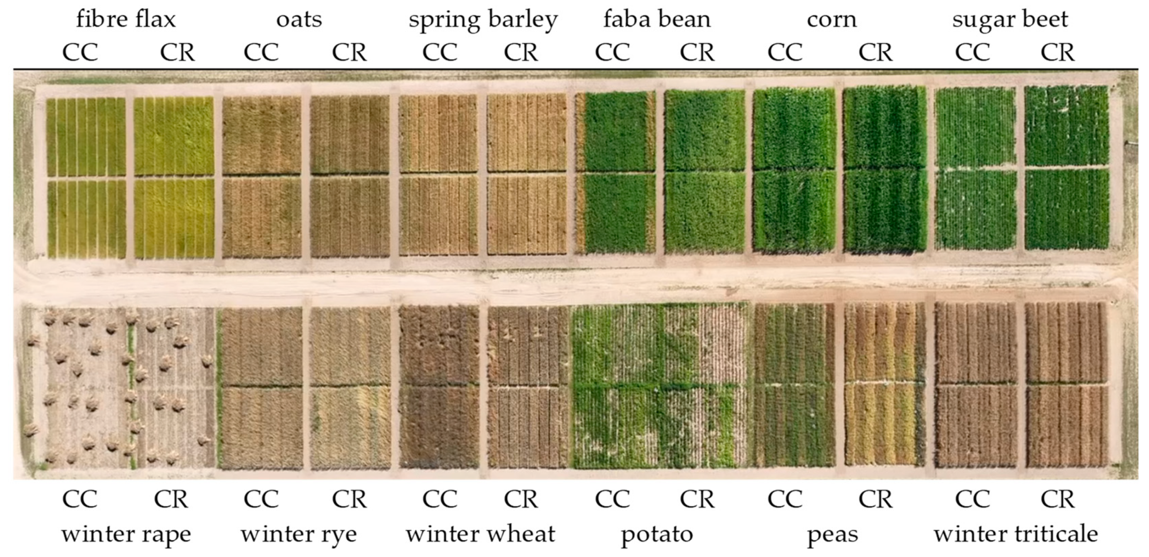 Agriculture 14 01355 g001 Agriculture 14 01355 g001