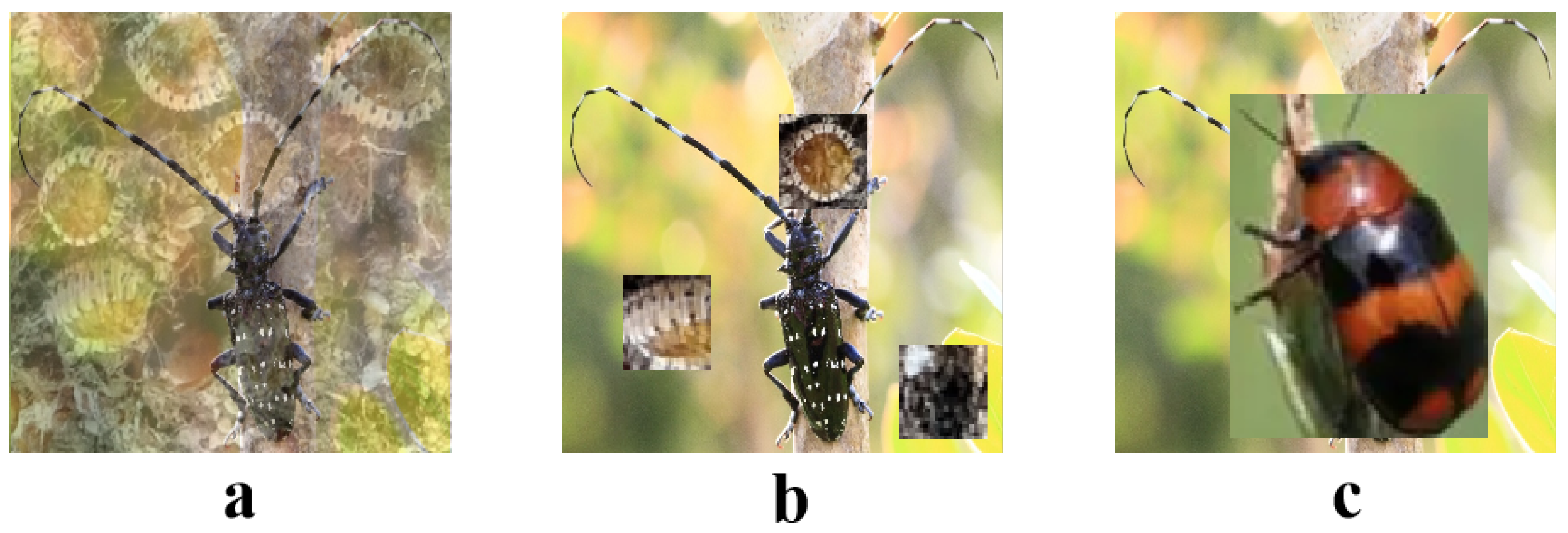 Agriculture 14 01359 g002