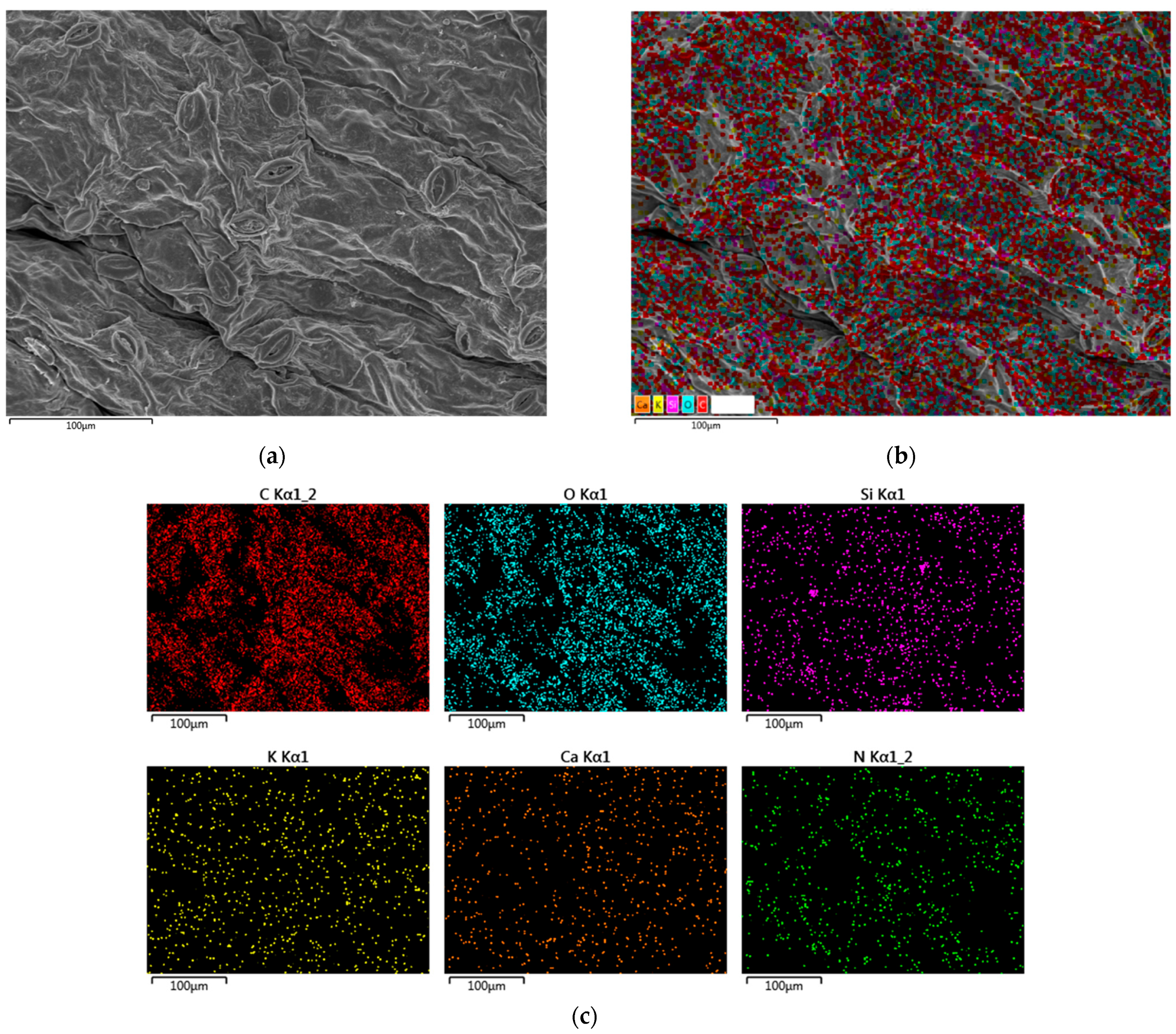 Agriculture 14 01361 g012