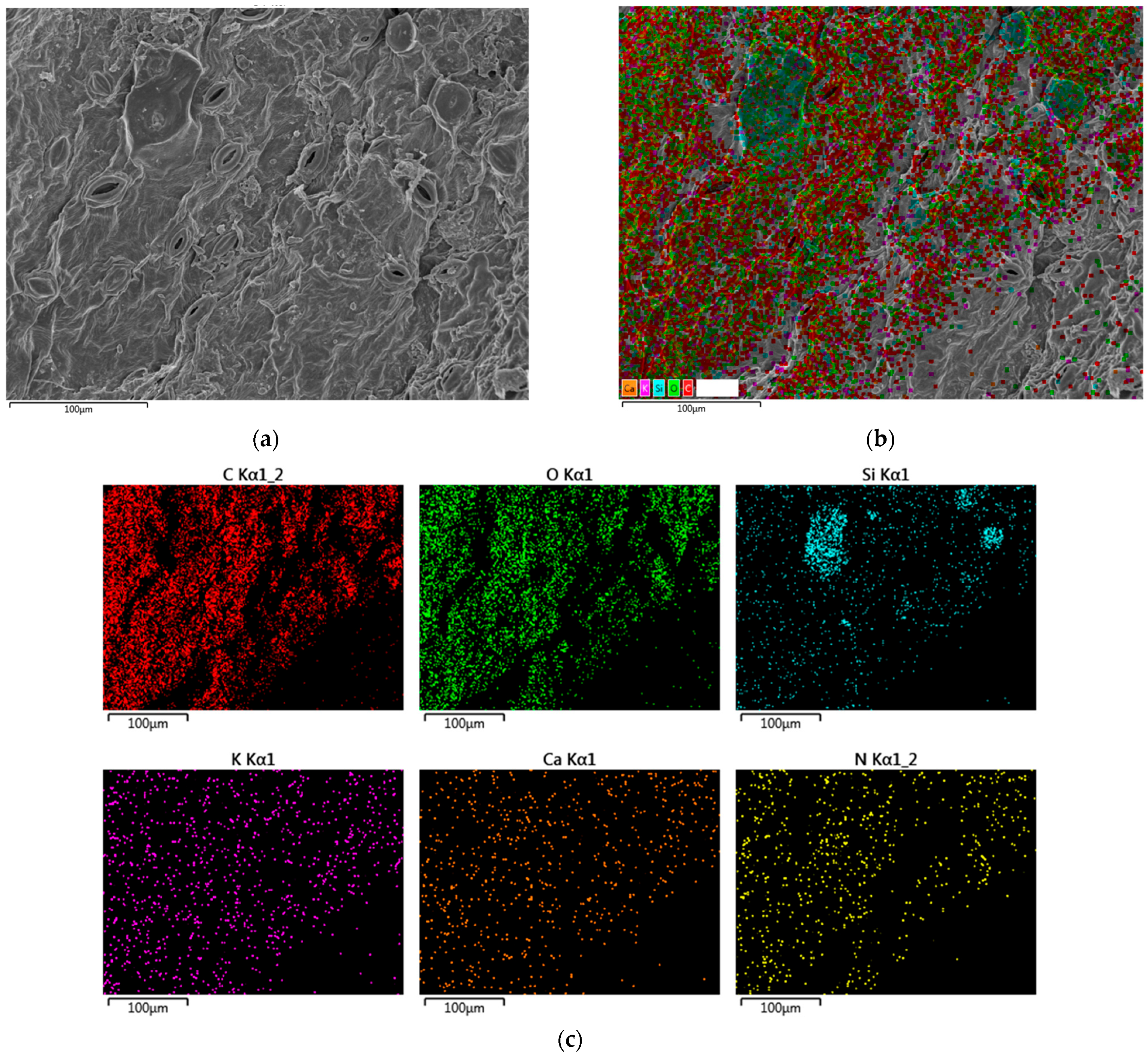Agriculture 14 01361 g013