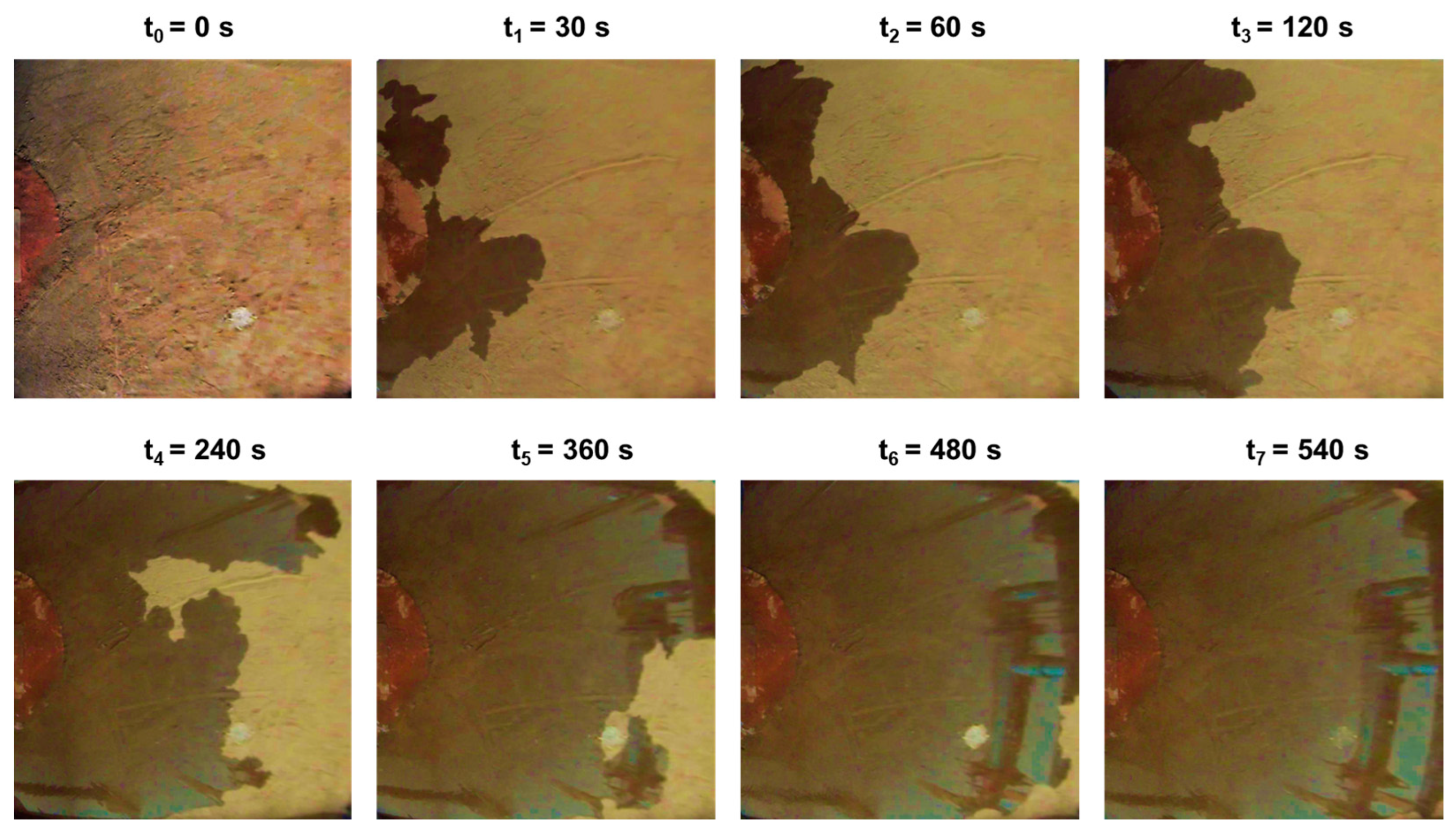 Agriculture 14 01366 g005