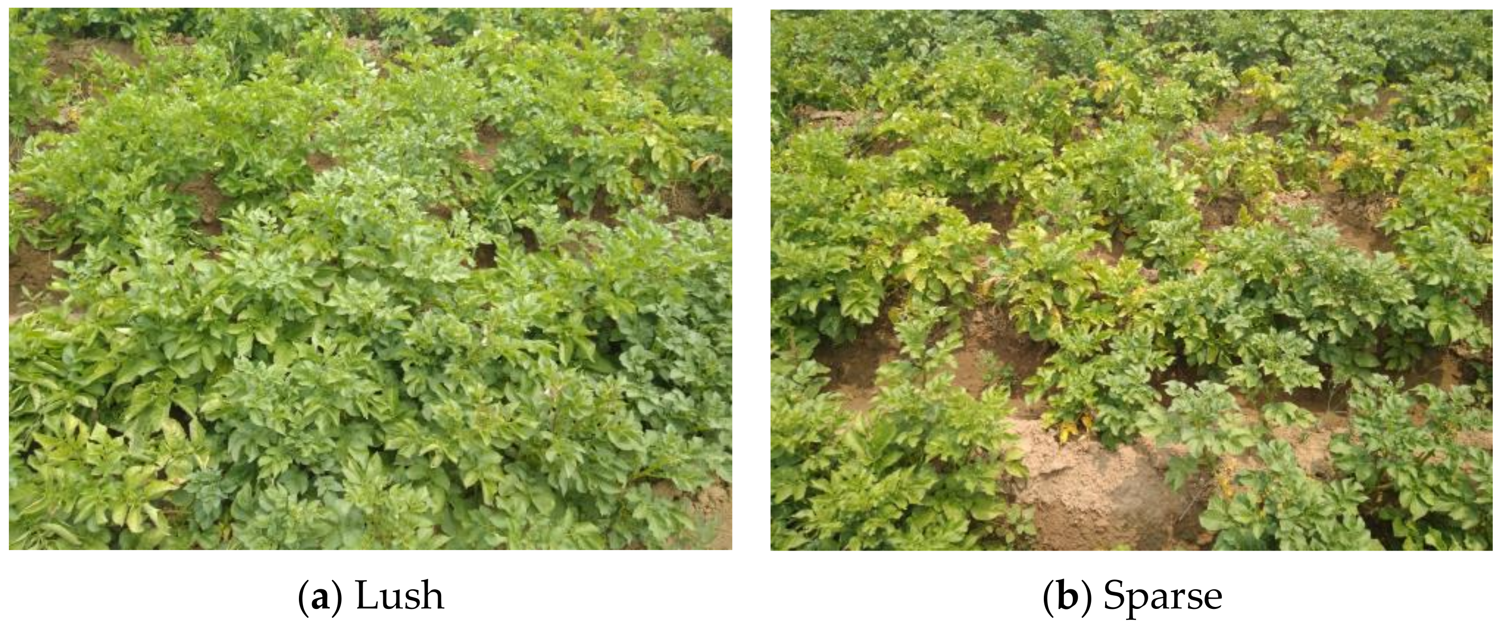 Agriculture 14 01369 g001