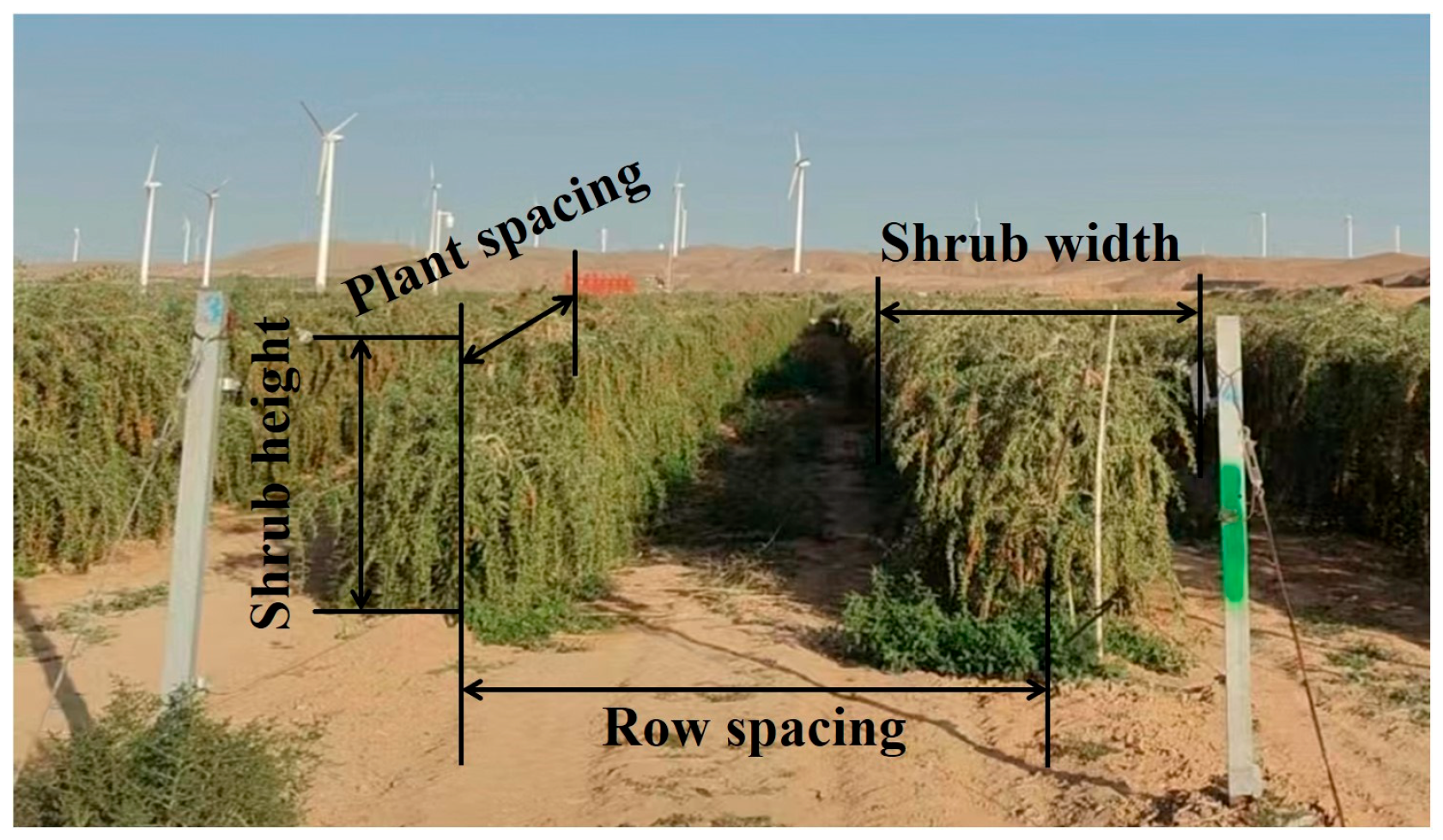 Agriculture 14 01370 g001