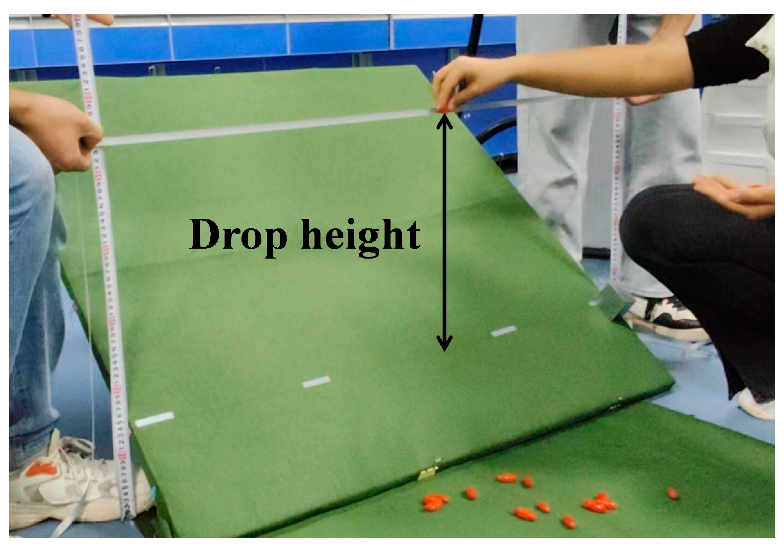 Agriculture 14 01370 g008