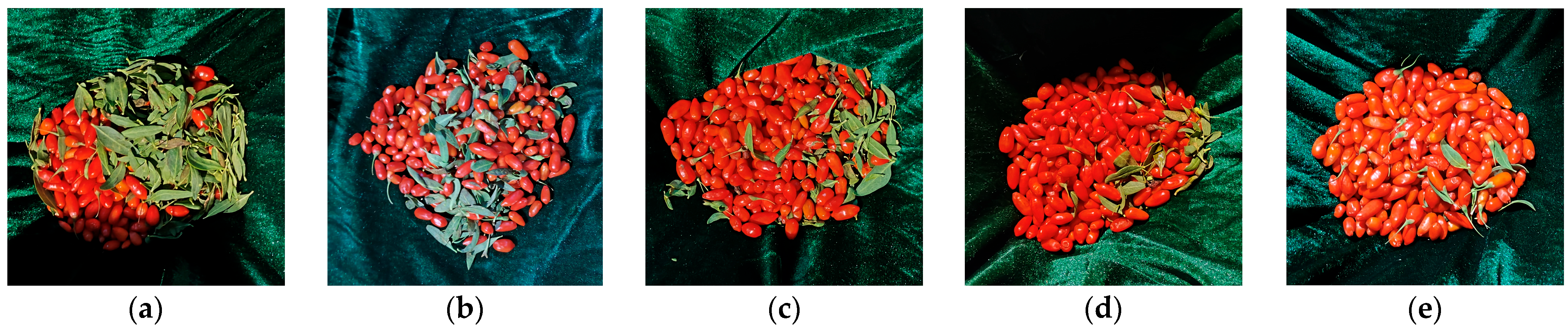 Agriculture 14 01370 g012