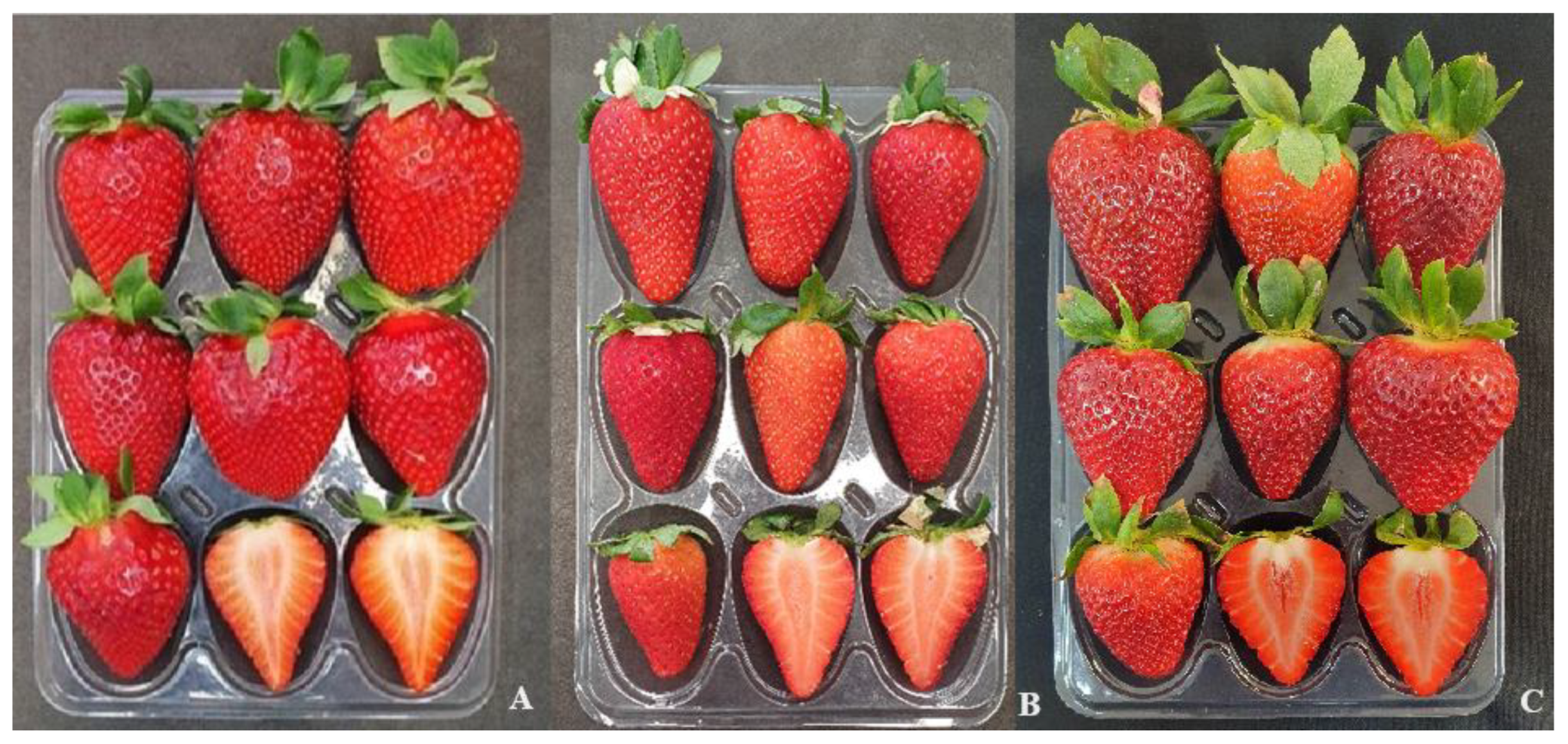 Agriculture 14 01373 g004