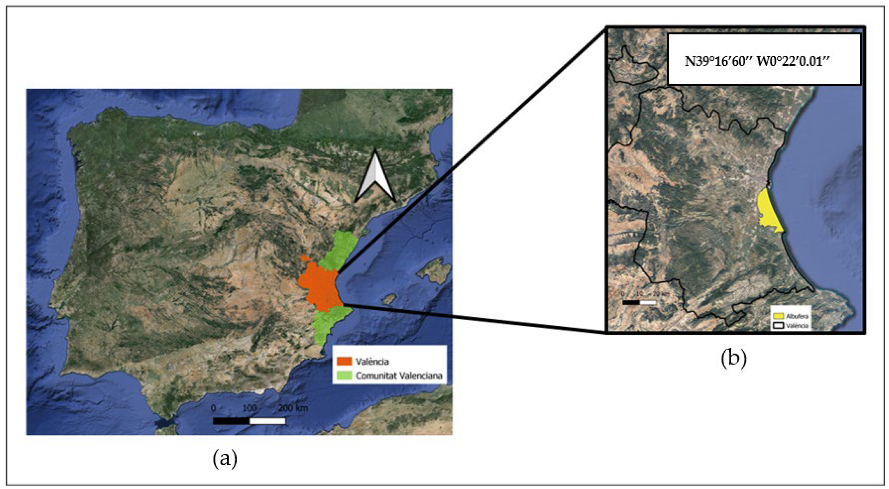 Agriculture 14 01385 g001