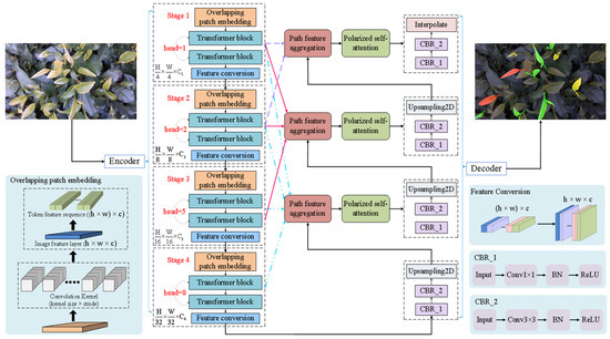 Segmentation Network for Multi-Shape Tea Bud Leaves Based on Attention ...