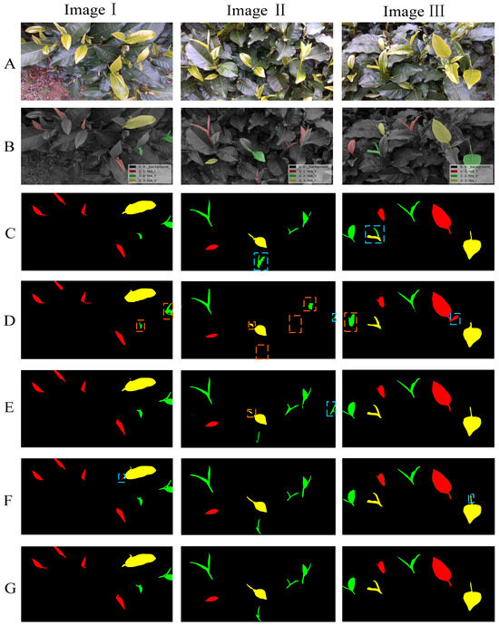 Segmentation Network for Multi-Shape Tea Bud Leaves Based on Attention ...