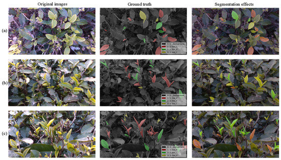 Segmentation Network for Multi-Shape Tea Bud Leaves Based on Attention ...