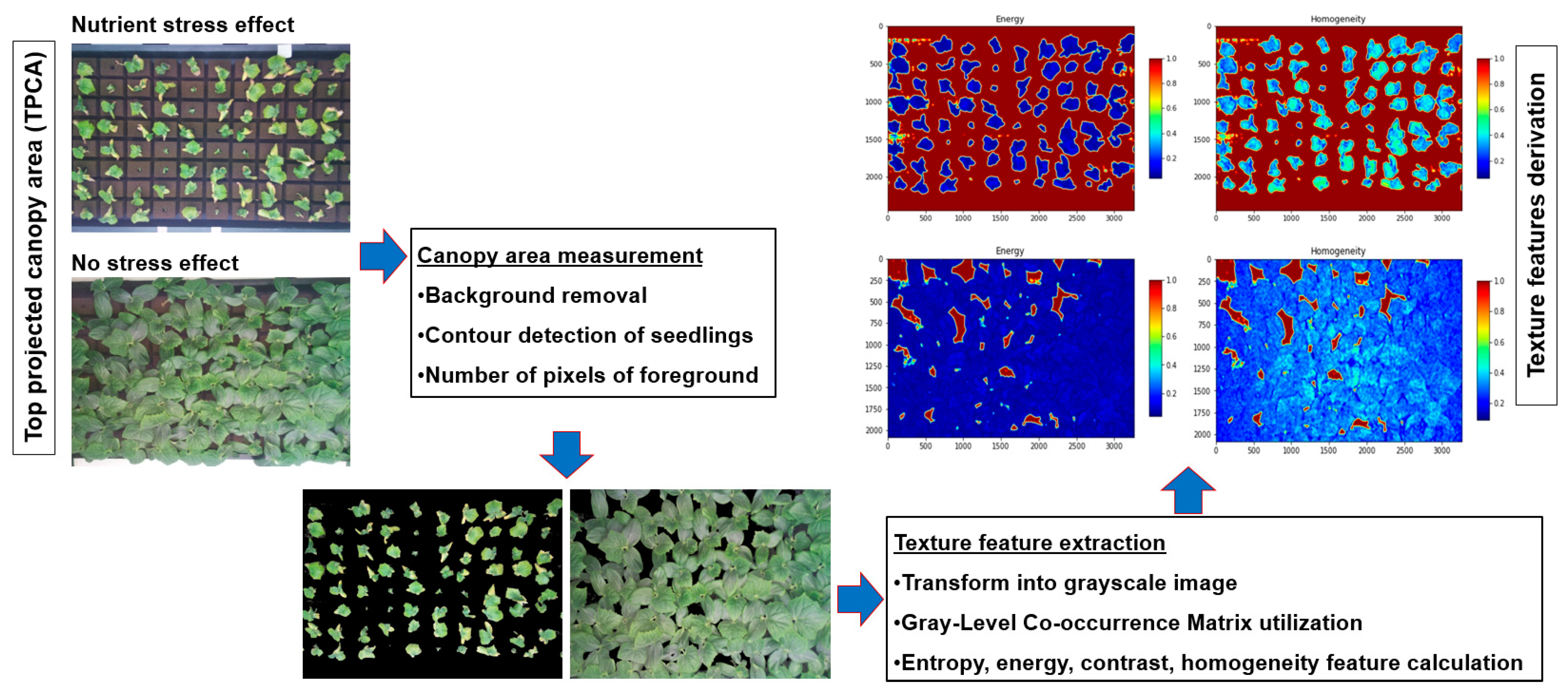 Agriculture 14 01390 g004 Agriculture 14 01390 g004
