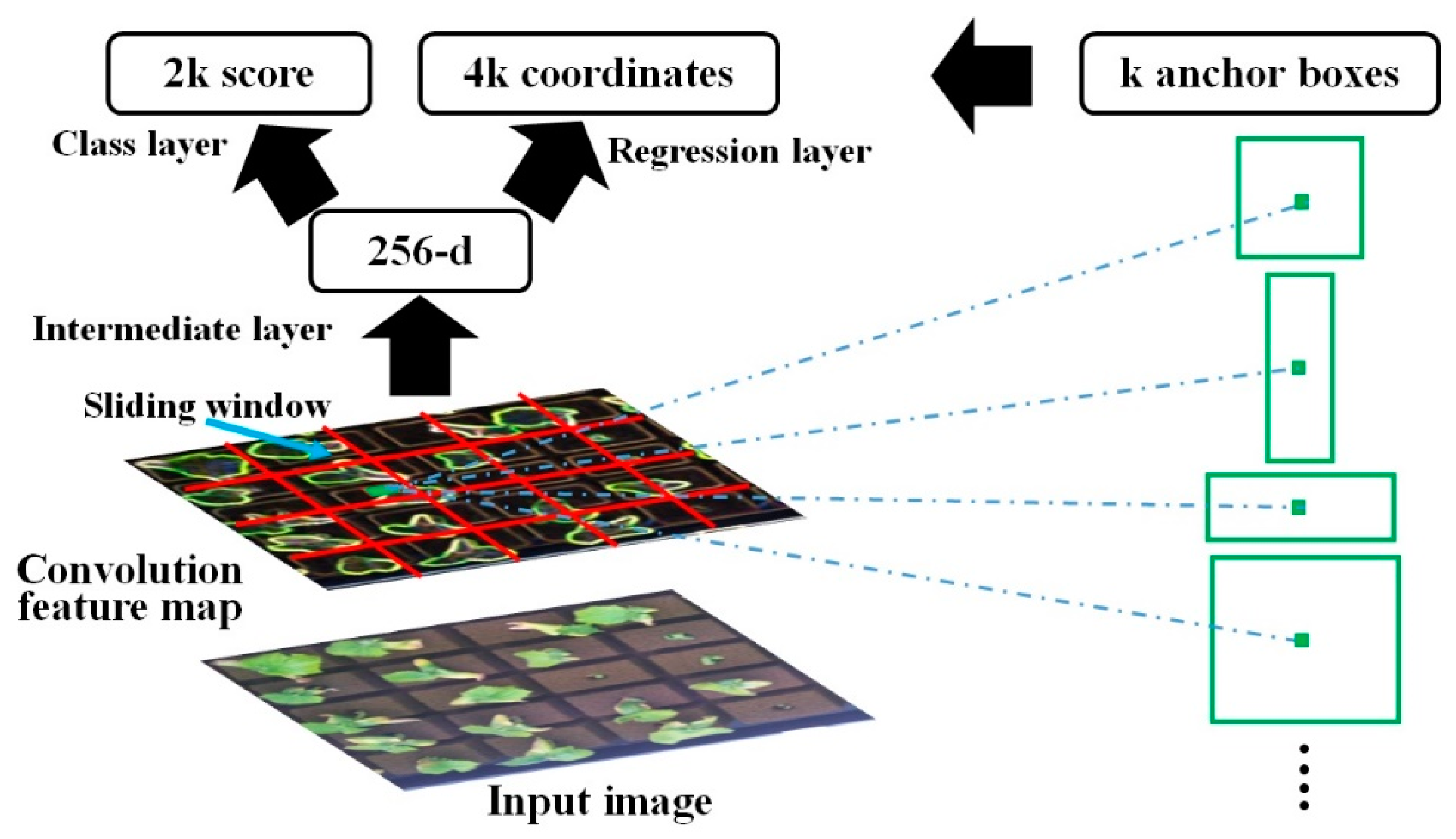 Agriculture 14 01390 g009 Agriculture 14 01390 g009